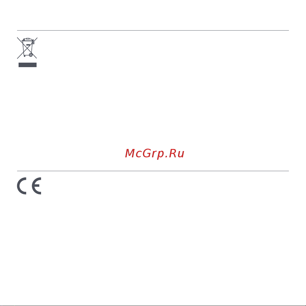 Xiaomi Redmi Watch 2 Lite M2109W1 Beige (BHR5439GL) [157/274] Eu uygunluk beyanı