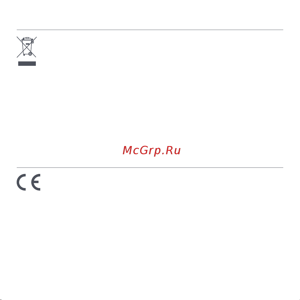 Xiaomi Redmi Watch 2 Lite M2109W1 Beige (BHR5439GL) [256/274] Eu prohlášení o shodě