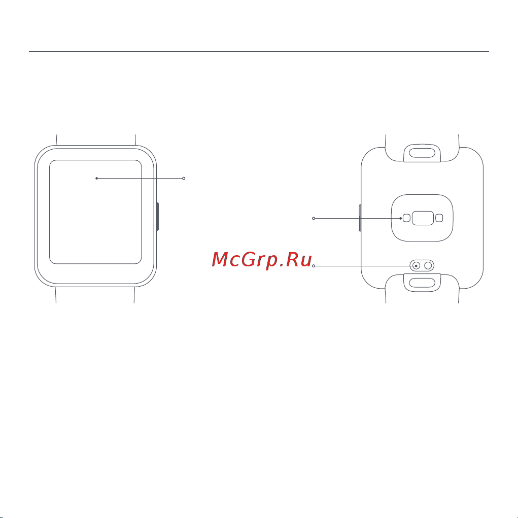 Xiaomi Redmi Watch 2 Lite M2109W1 Beige (BHR5439GL) [32/274] Panoramica del prodotto