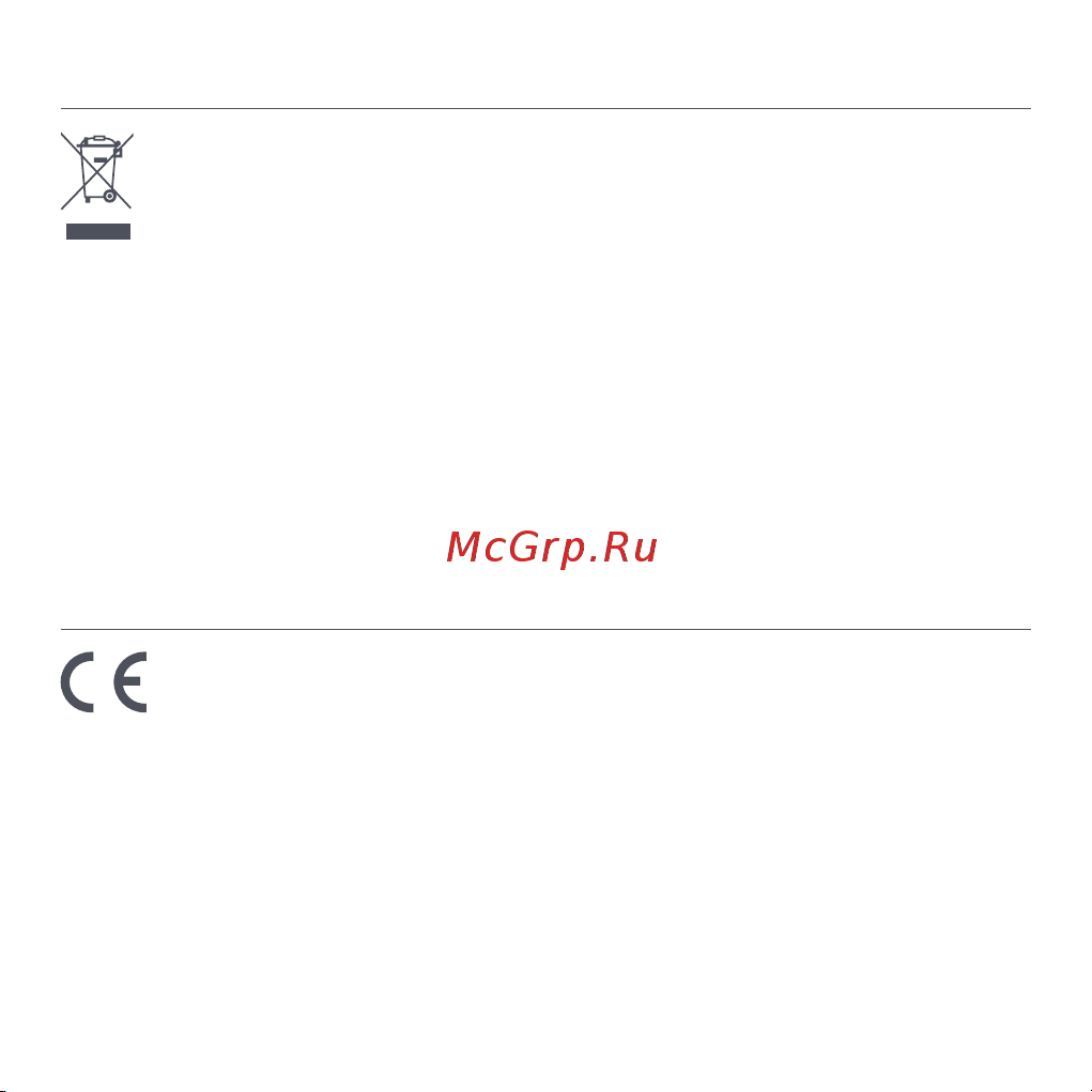 Xiaomi Redmi Watch 2 Lite M2109W1 Beige (BHR5439GL) [44/274] Dichiarazione di conformità europea