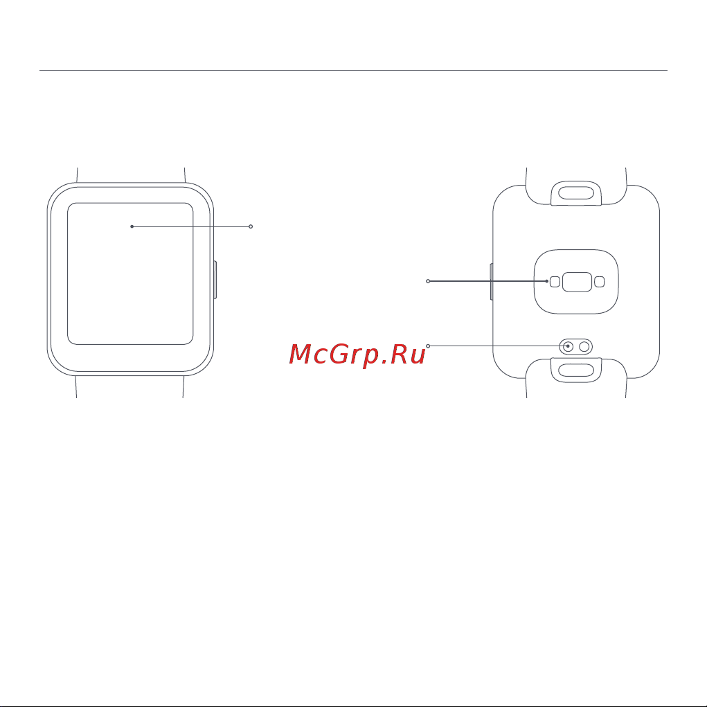 Xiaomi Redmi Watch 2 Lite Black (BHR5436GL) [74/274] Описание изделия