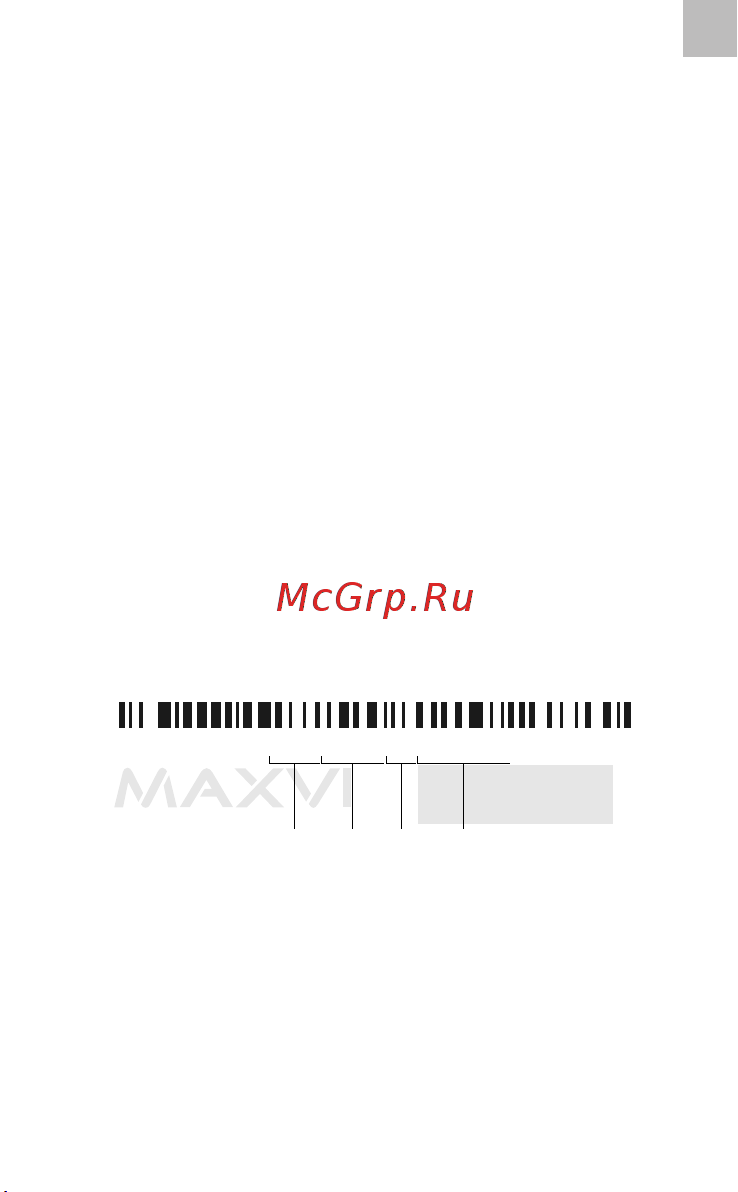 Maxvi T2 blue [17/68] Комплект поставки