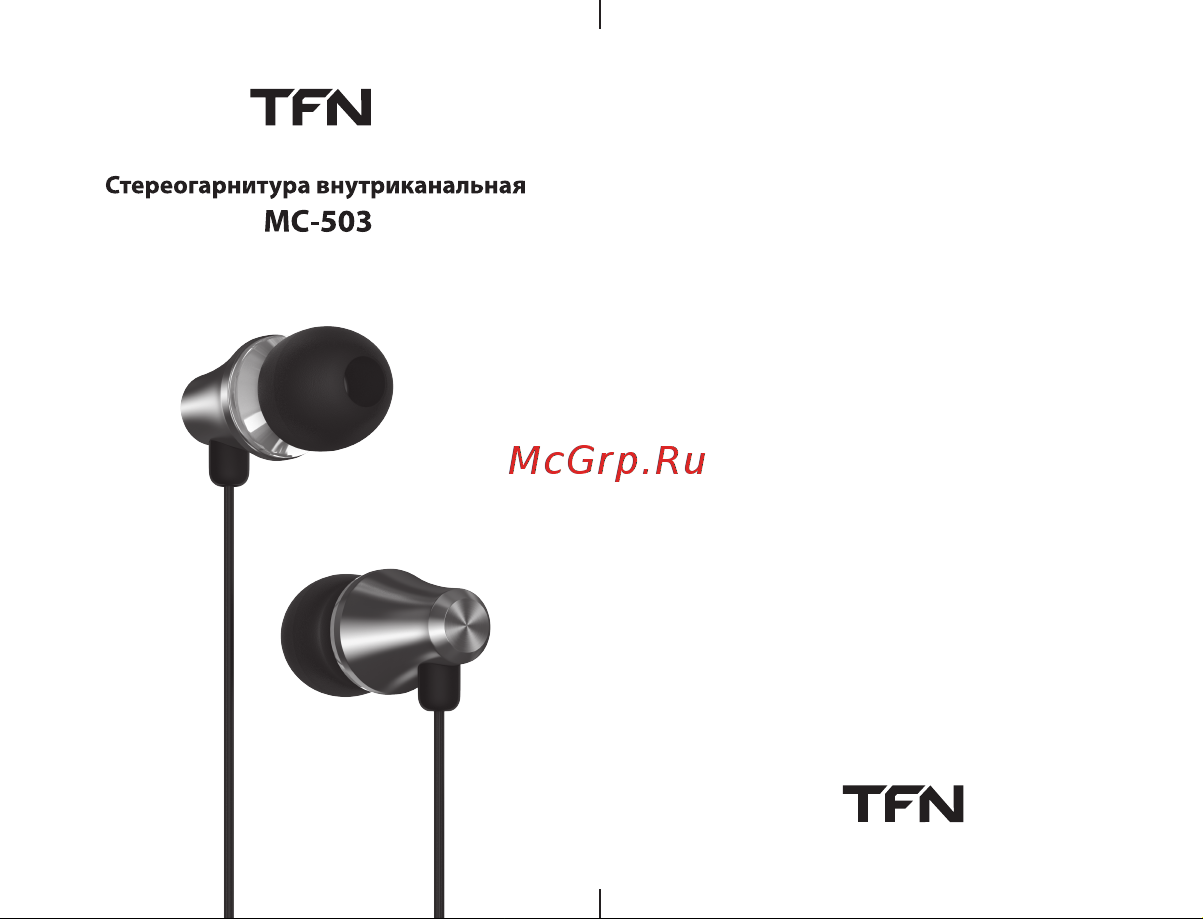 TFN MC-503 Gray Инструкция по эксплуатации онлайн [2/2] 655101