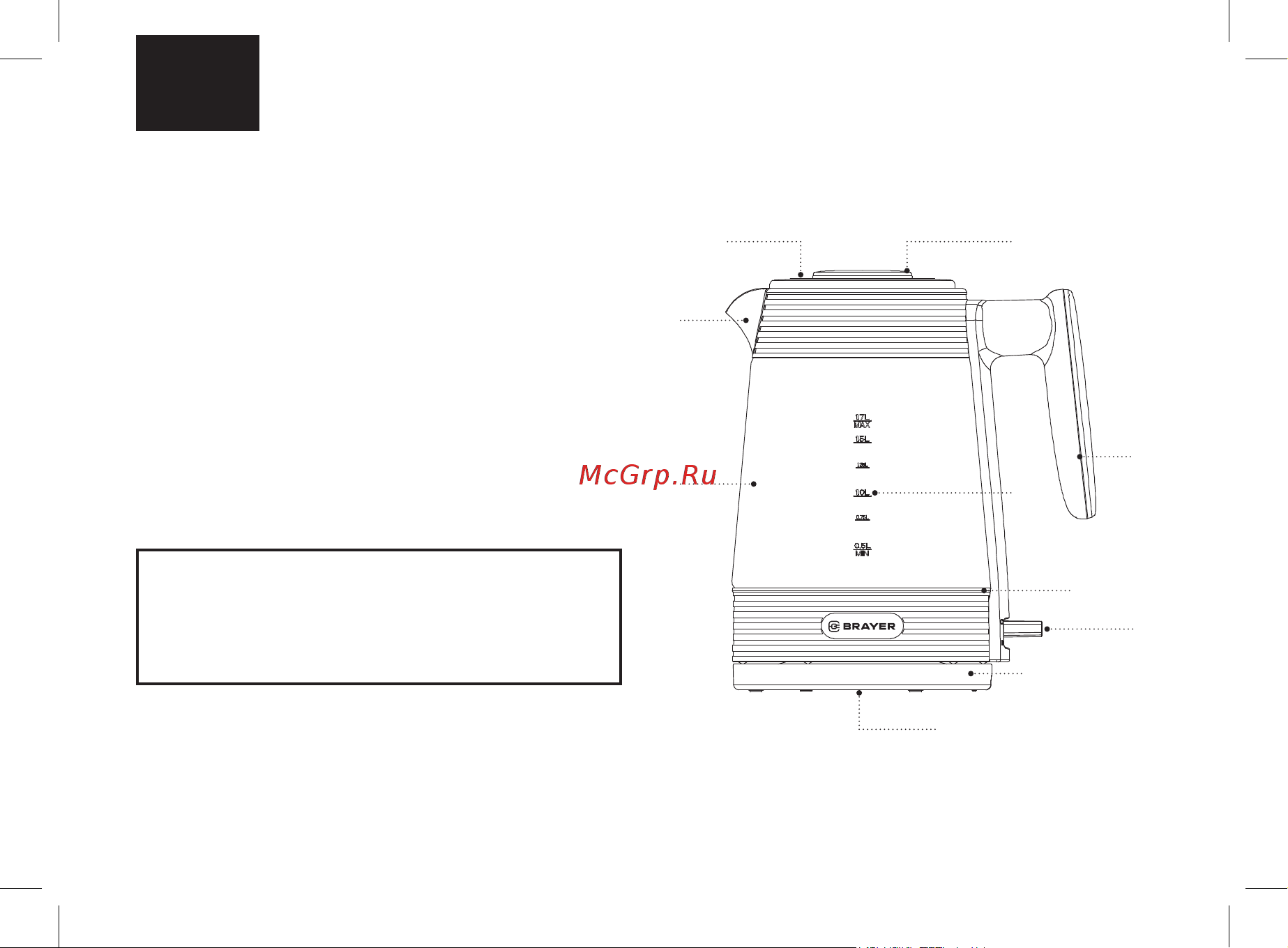 Brayer BR1016 черный/золотистый [10/0] Wasserkocher br1016