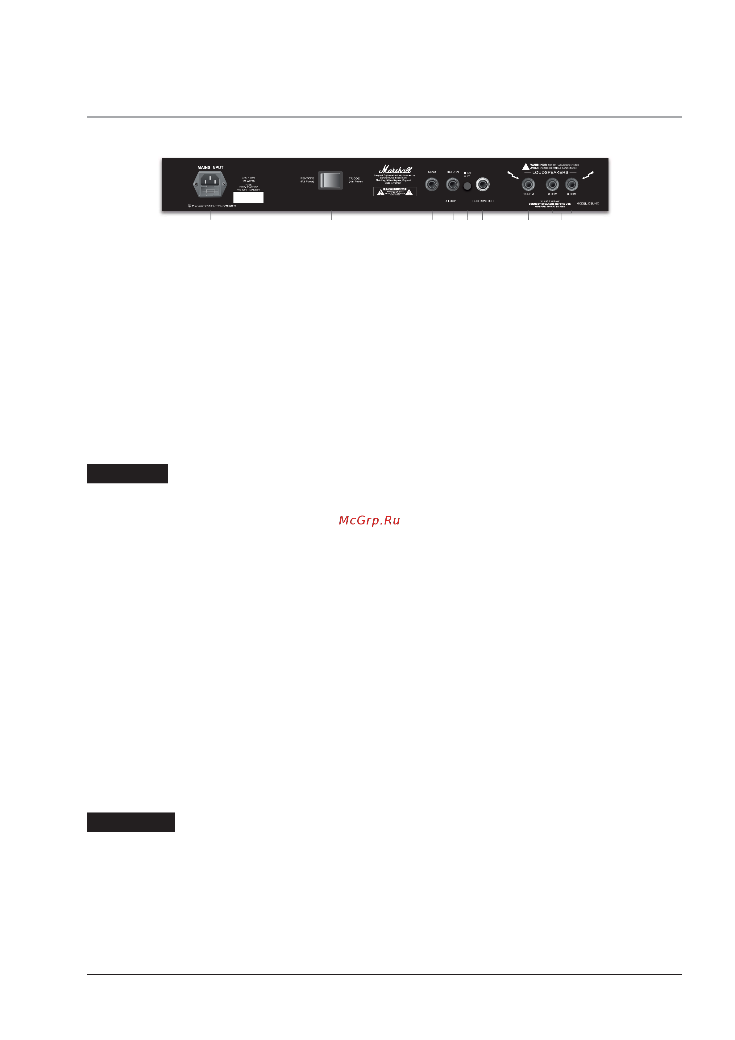 Marshall DSL100H [7/12] Регуляторы и переключатели тыльной панели