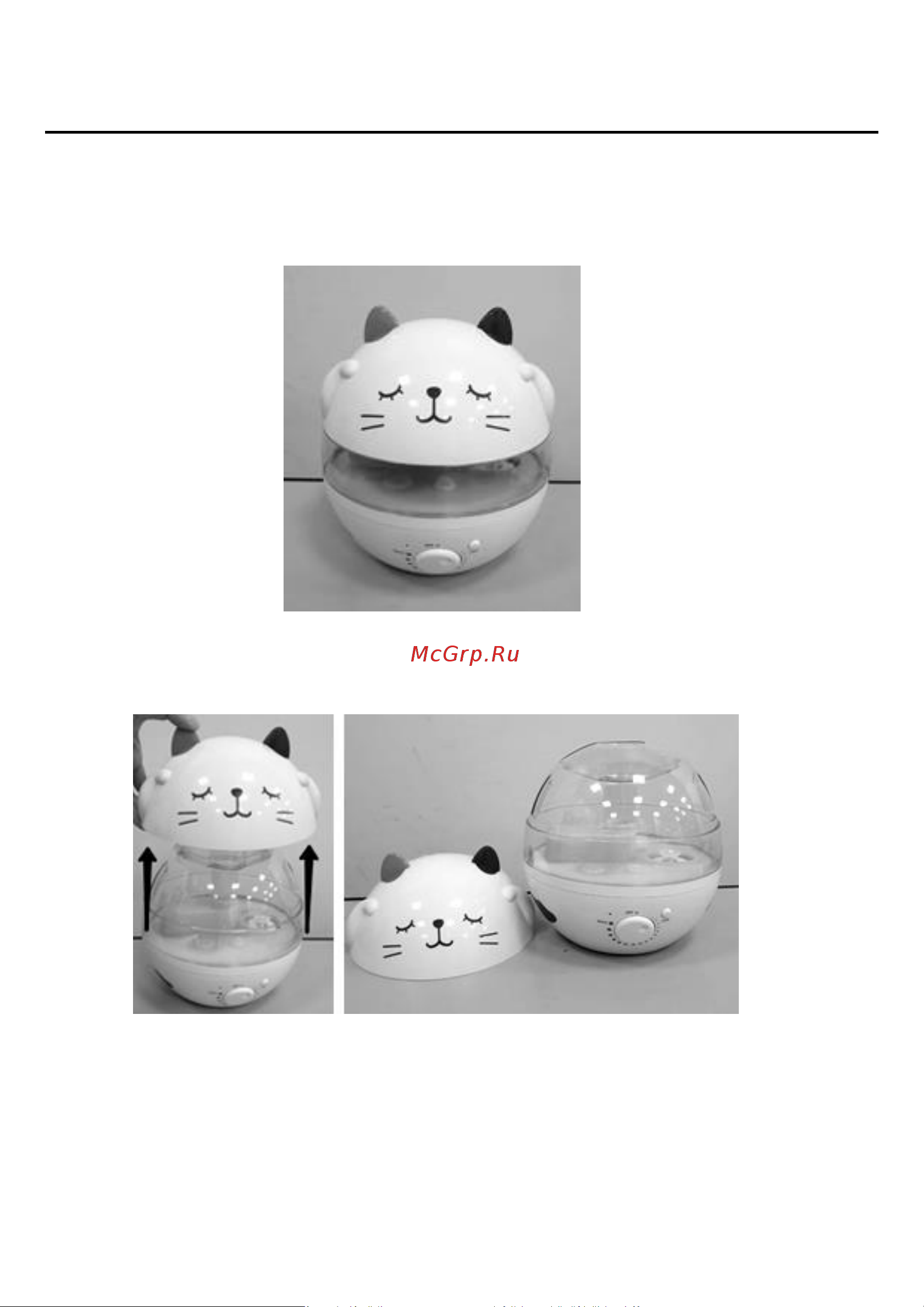Planta HUM-001 [21/30] Starting to use of a humidifier
