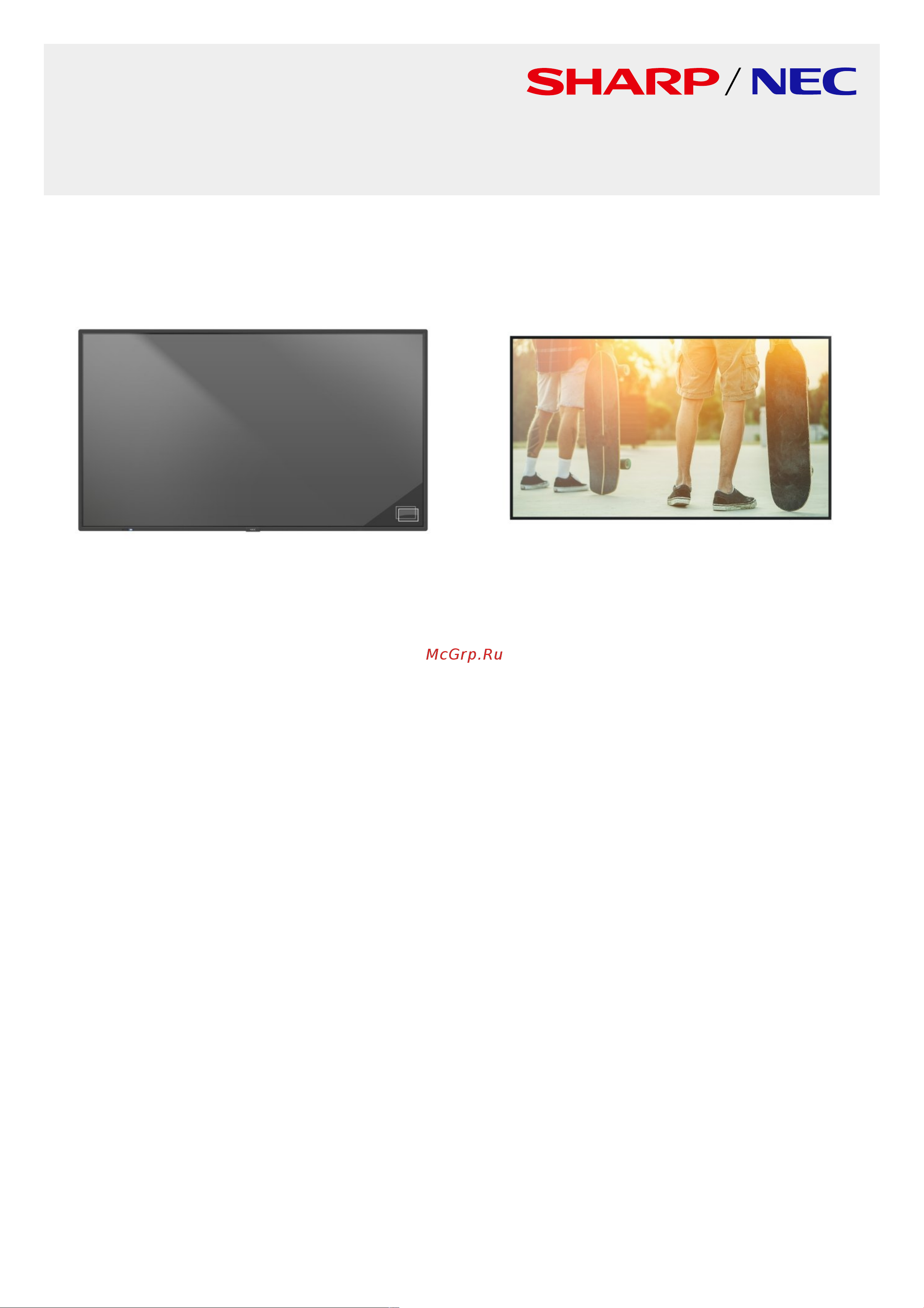Nec MultiSync M651 PG Спецификация онлайн
