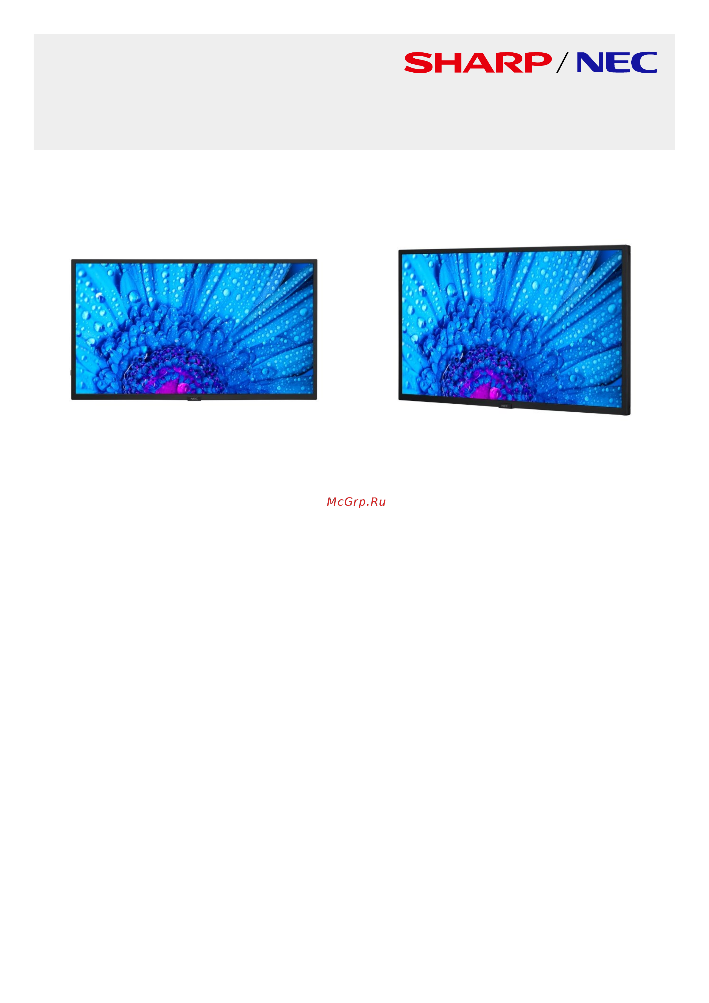 Nec MultiSync M321 Спецификация онлайн