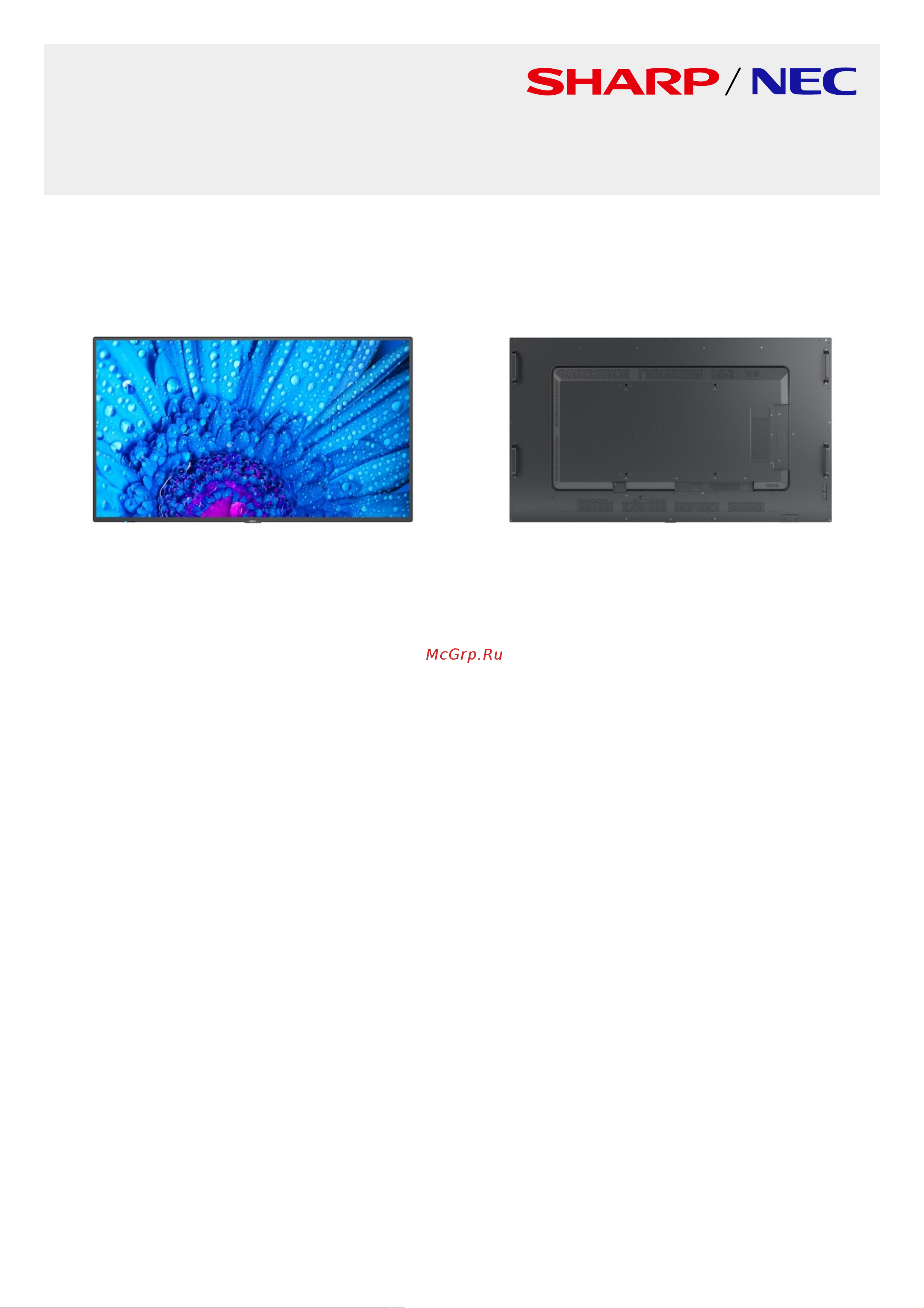 Nec MultiSync M651 Спецификация онлайн
