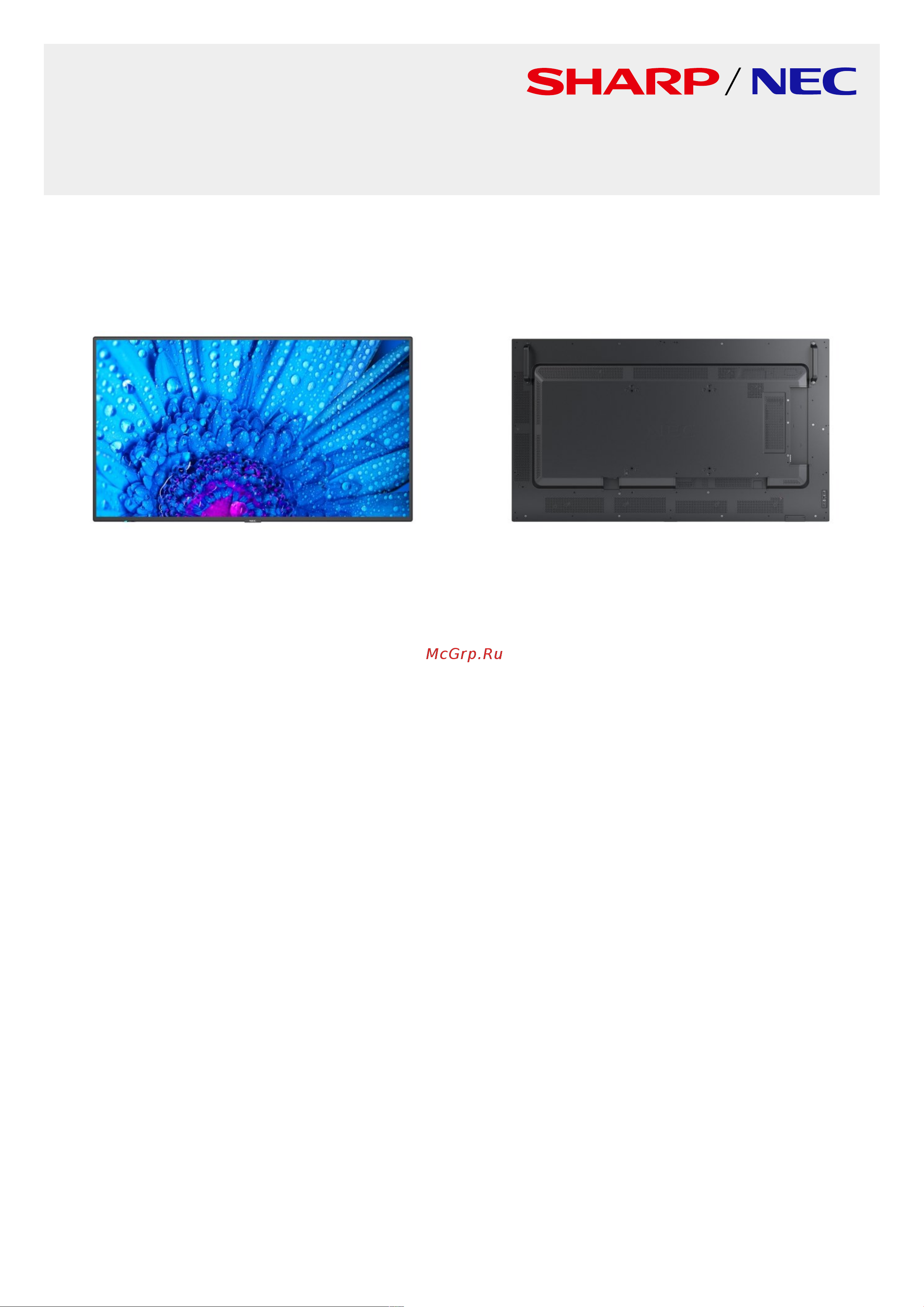Nec MultiSync M551 Спецификация онлайн