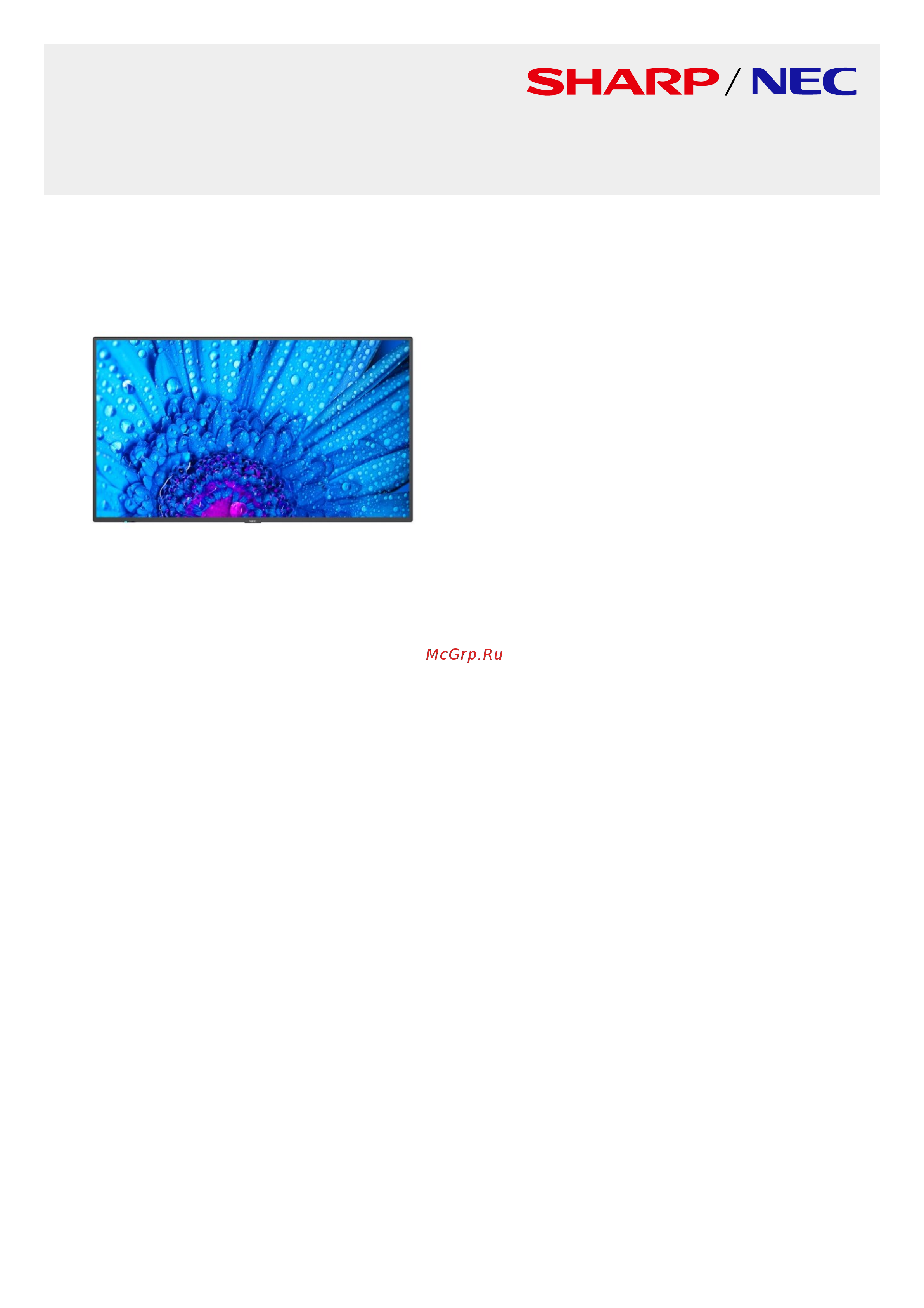 Nec MultiSync M431 Спецификация онлайн