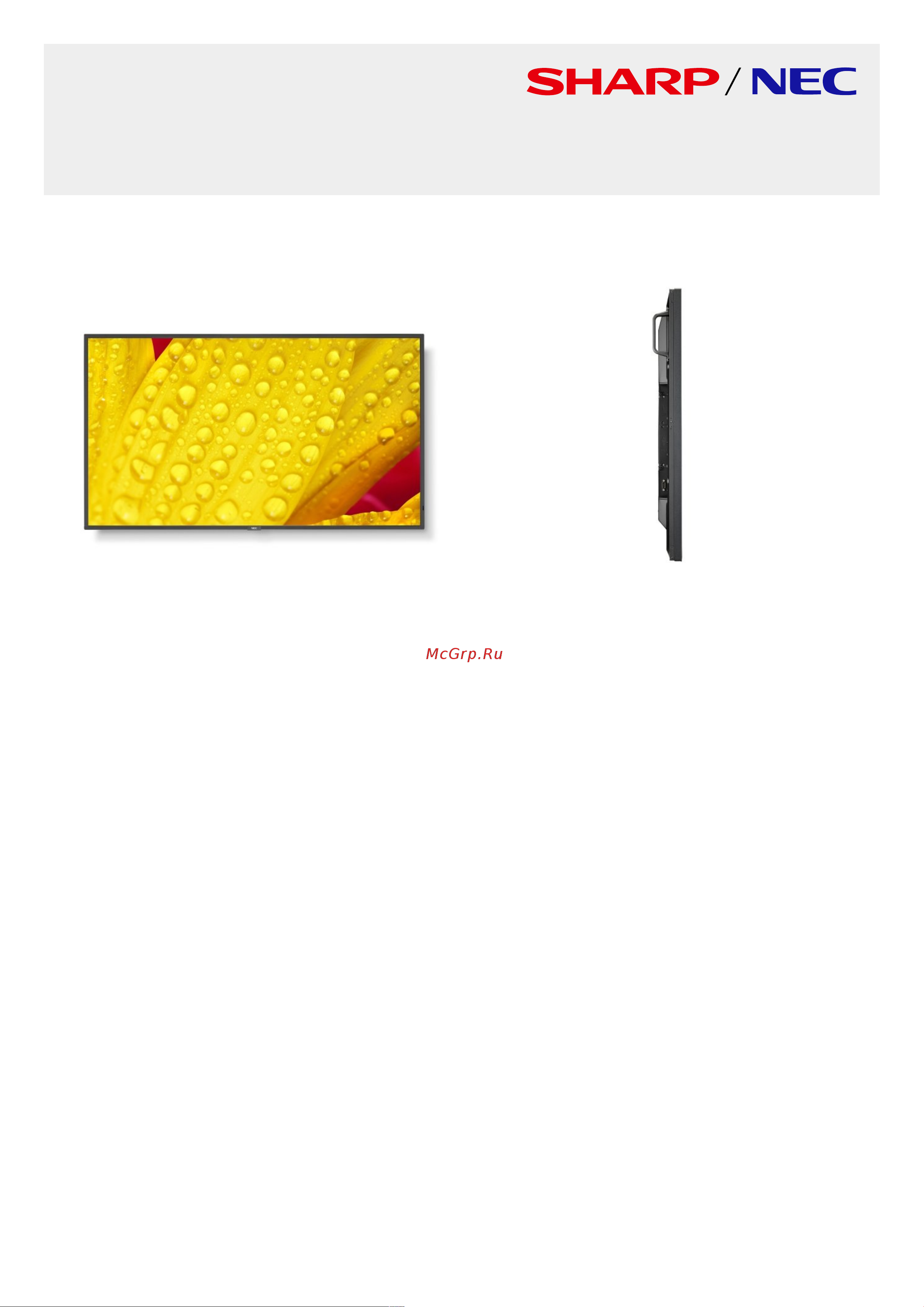 Nec MultiSync ME651 Спецификация онлайн