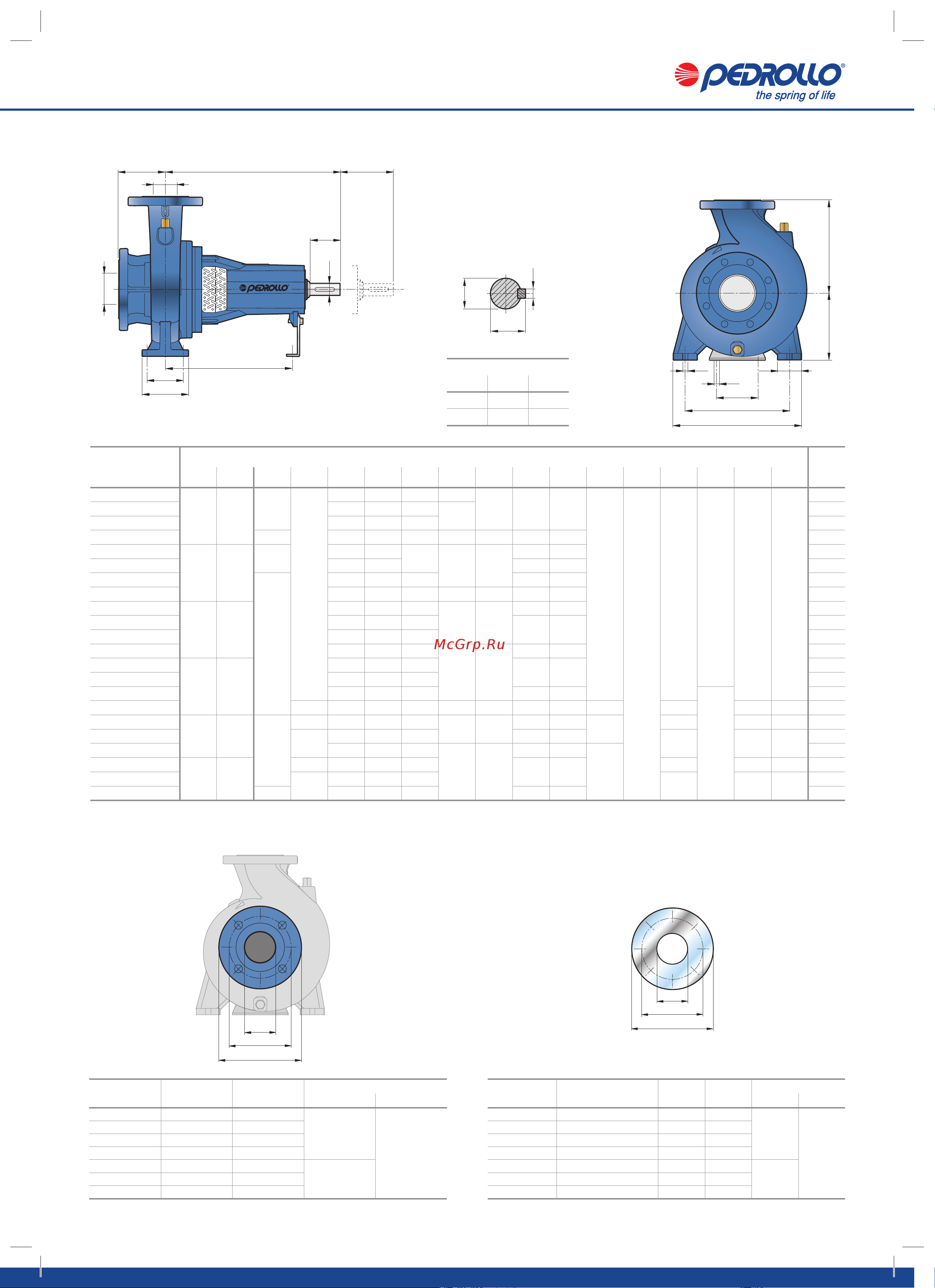 Pedrollo FG 32/200AH [16/16] Фланцевый патрубок dn контрфланец