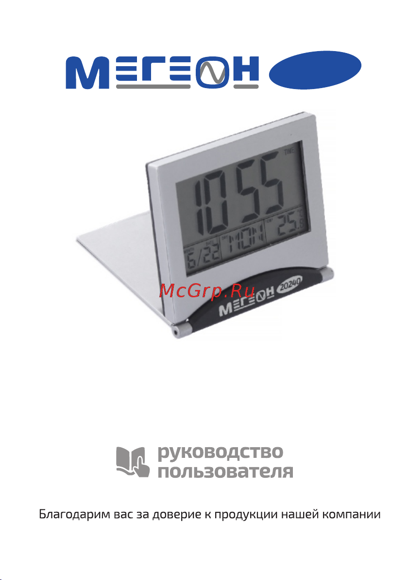 МЕГЕОН 20240 к0000021137 Инструкция по эксплуатации онлайн