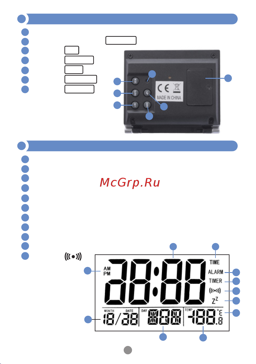 МЕГЕОН 20240 к0000021137 [5/12] Страница 5
