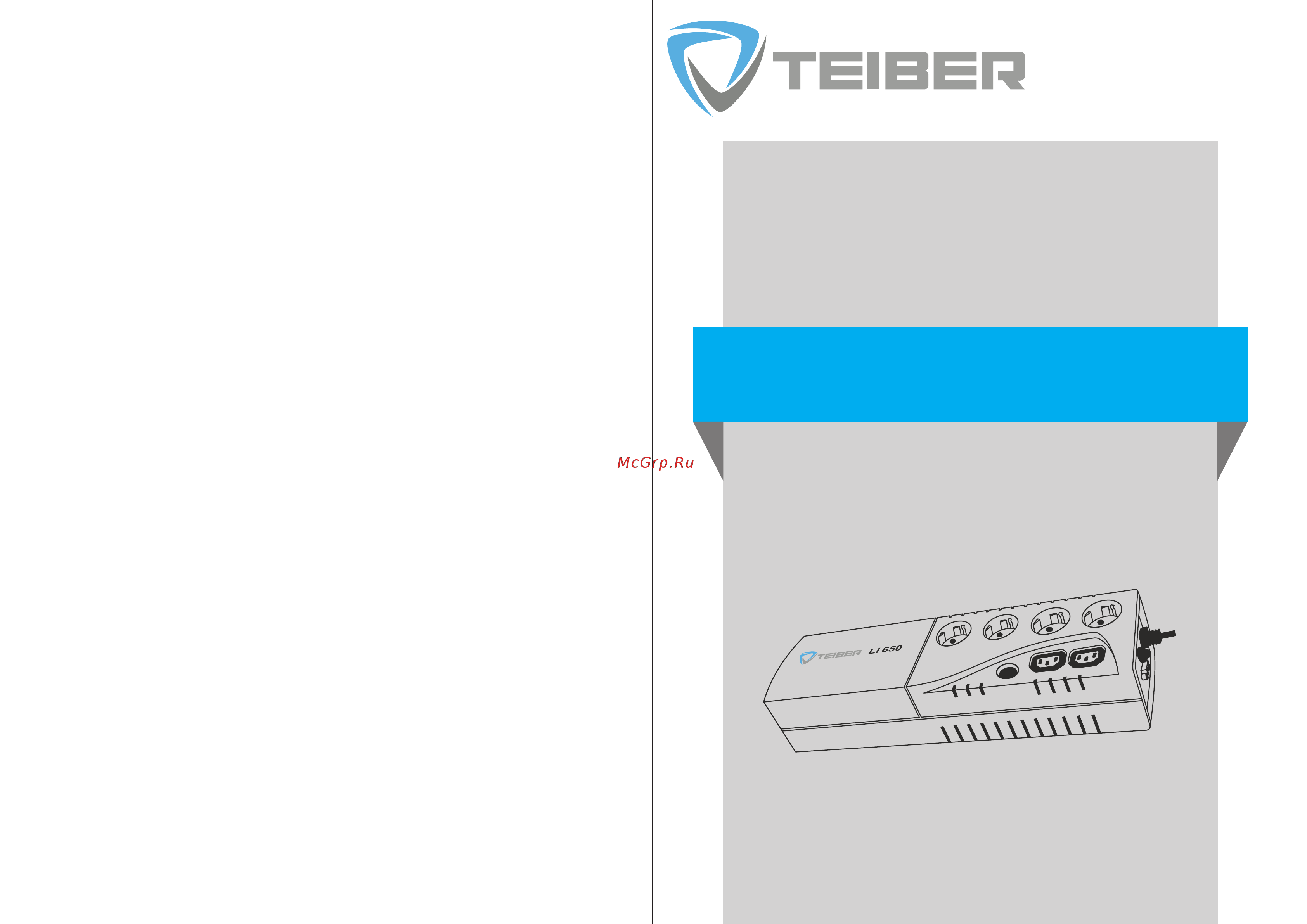 TEIBER LI 650 Инструкция по эксплуатации онлайн