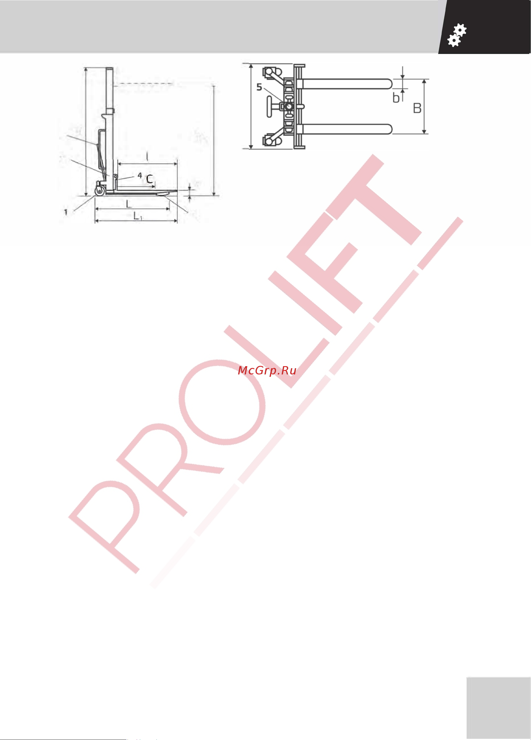 PROLIFT SDF 1020 1000кг, высота подъема 2000мм Инструкция по эксплуатации онлайн [8/32] 664741