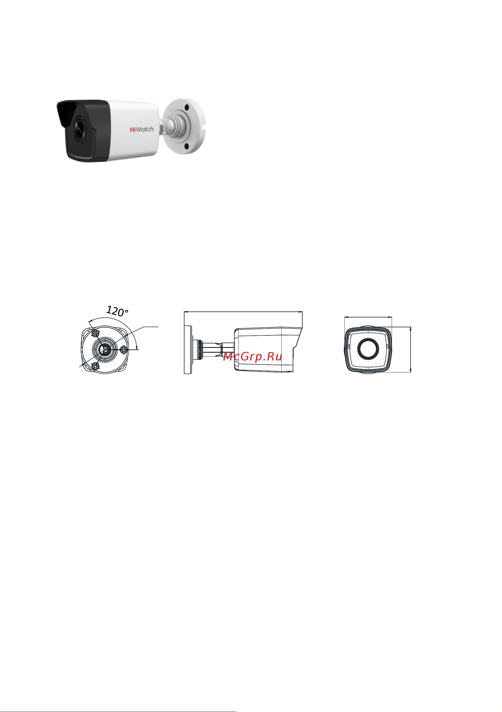 HiWatch DS-I450 (4 mm) [2/5] Ds i450