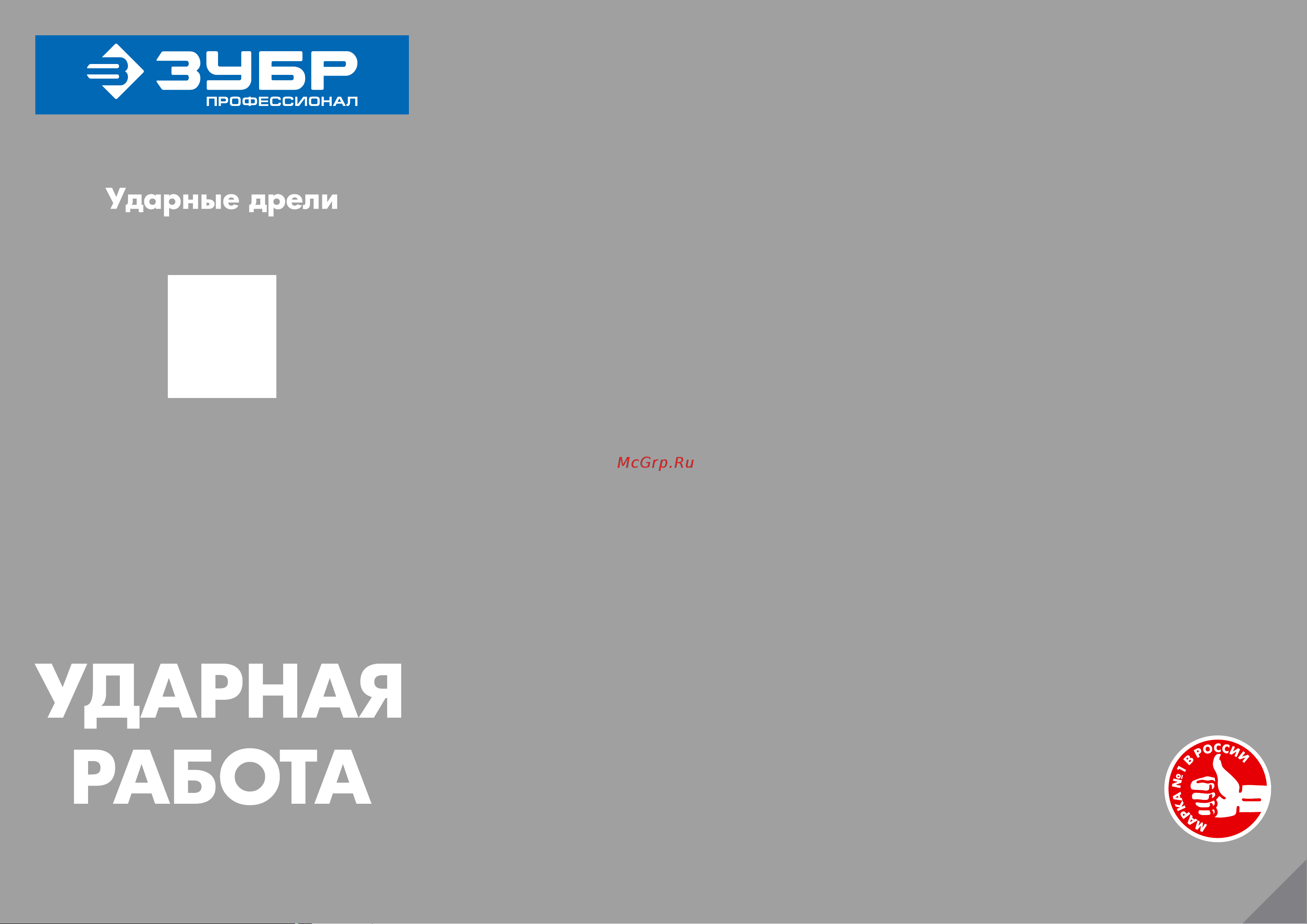 Зубр Профессионал ДУ-П850-2 ЭРМ Инструкция по эксплуатации онлайн