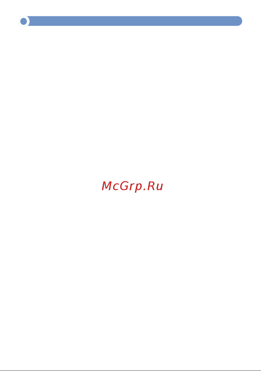 МЕГЕОН 40020 к0000033290 Инструкция по эксплуатации онлайн [2/12] 872013