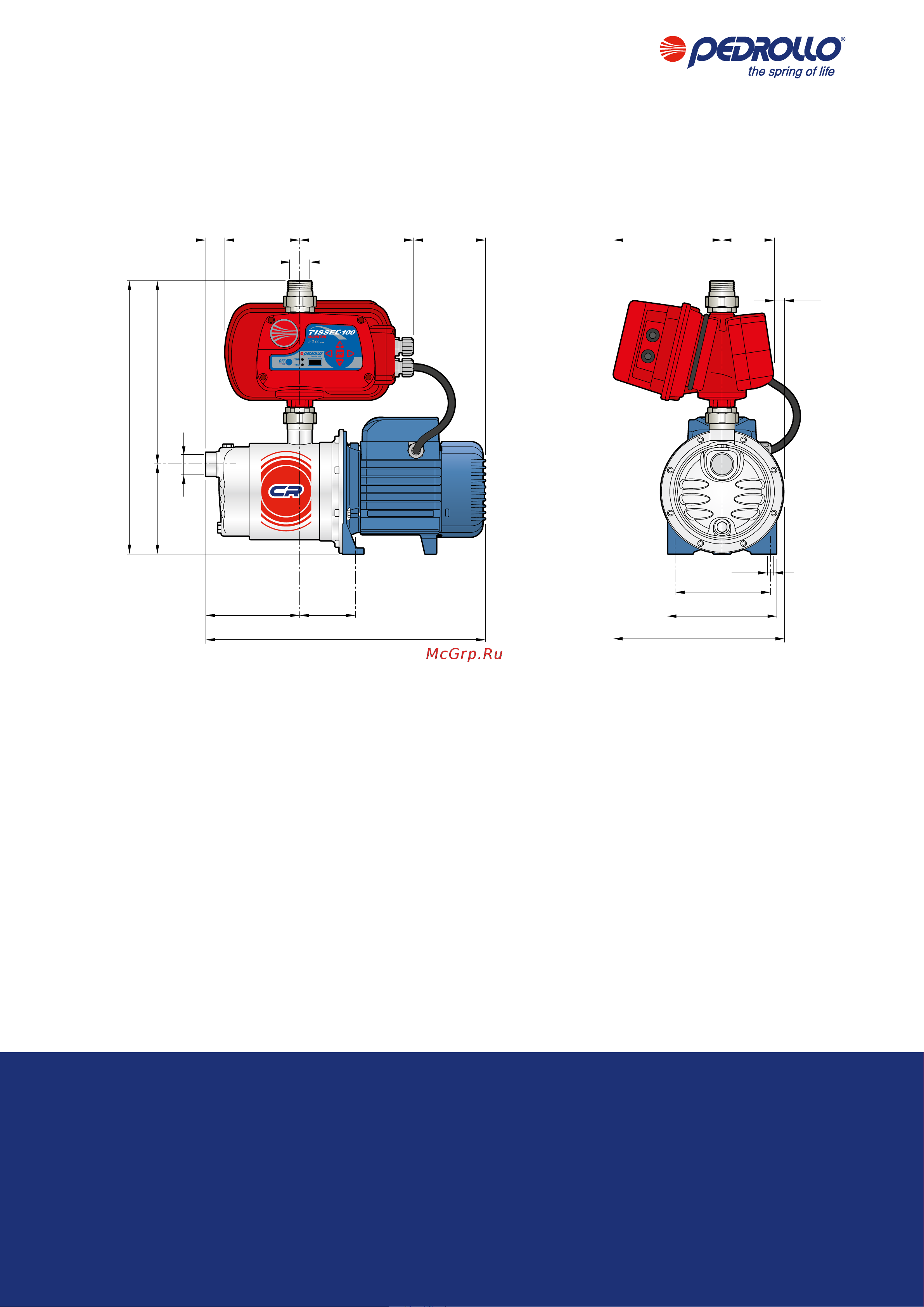 Pedrollo TS2 - MK 3/6 [12/20] Dimensions mm
