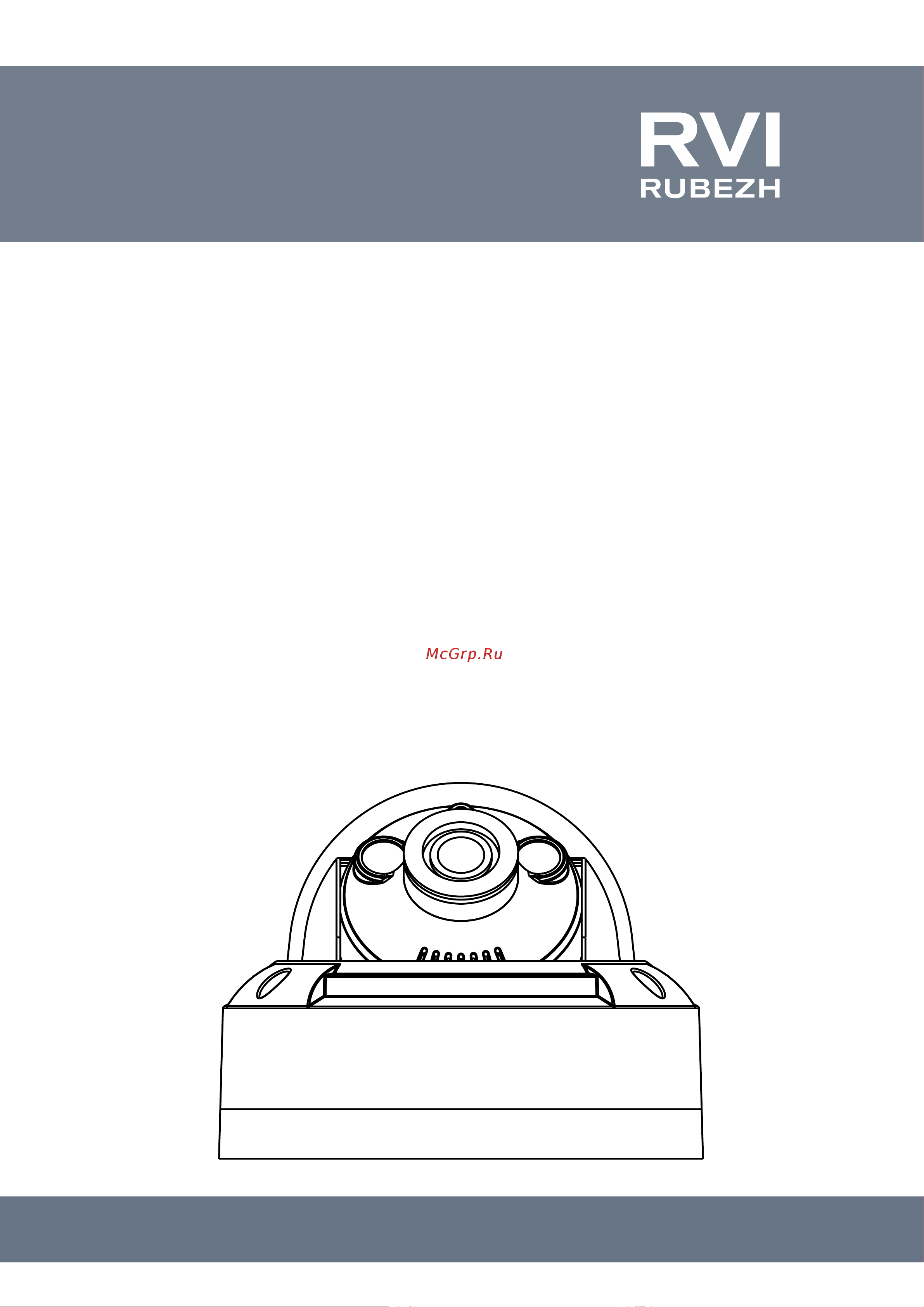 RVi RVi-2NCD2362 (2.8) Инструкция по эксплуатации онлайн