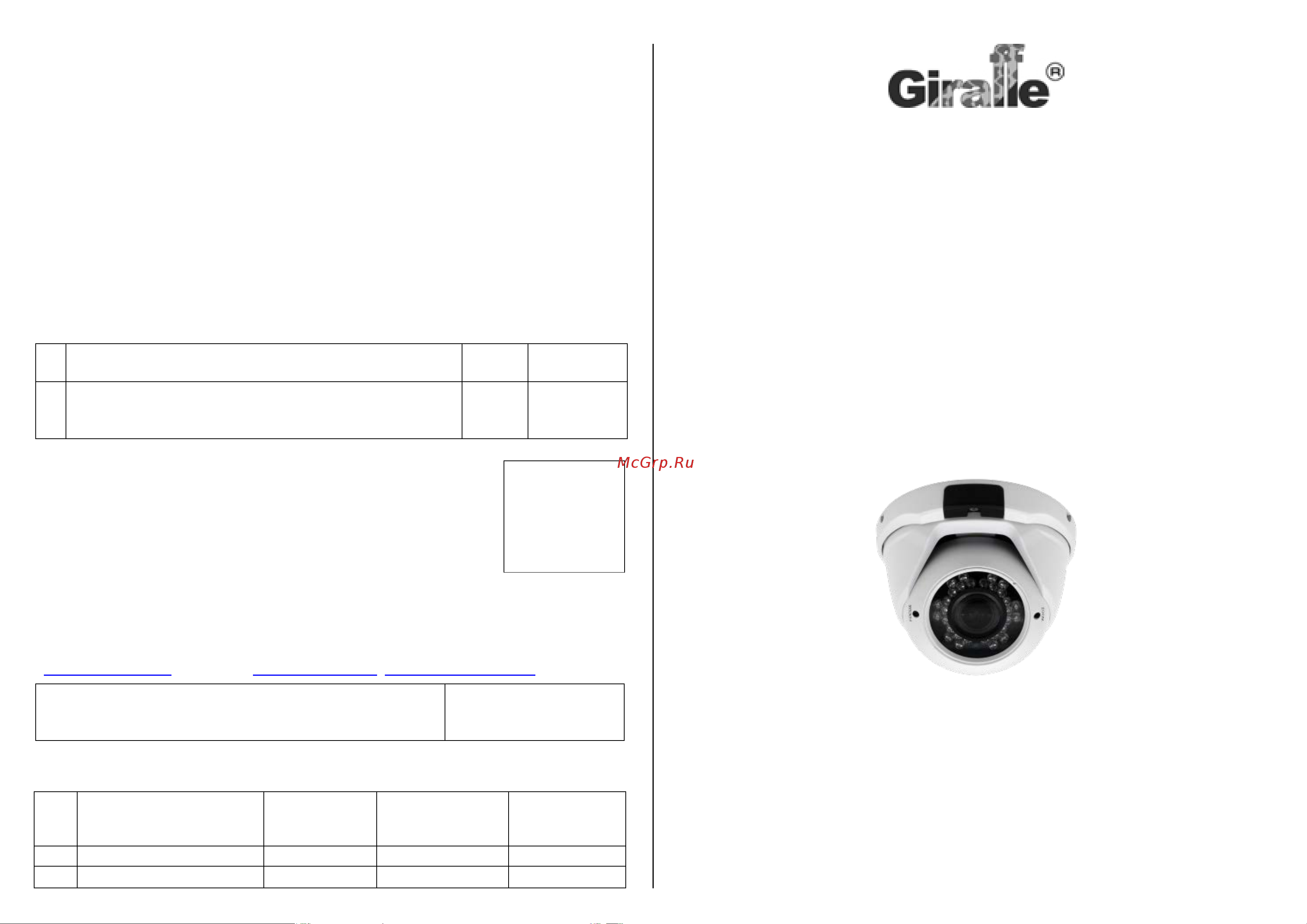 Giraffe GF-VIR4306AHD2.0-VF V2 Паспорт онлайн