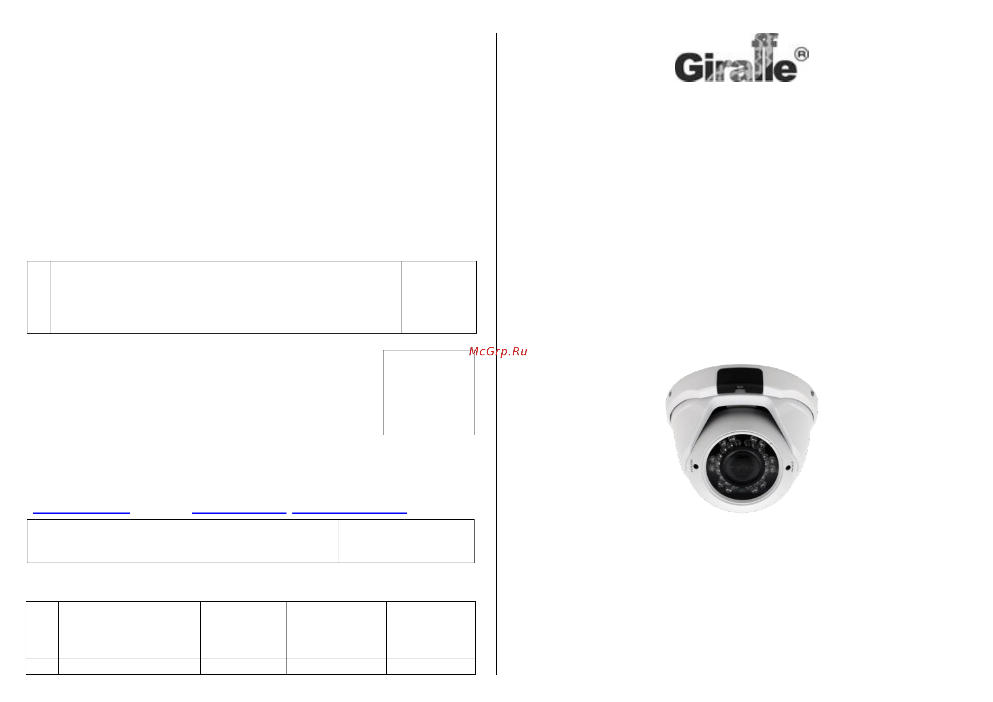 Giraffe GF-VIR4306AHD2.0 V3 (2.8) Паспорт онлайн