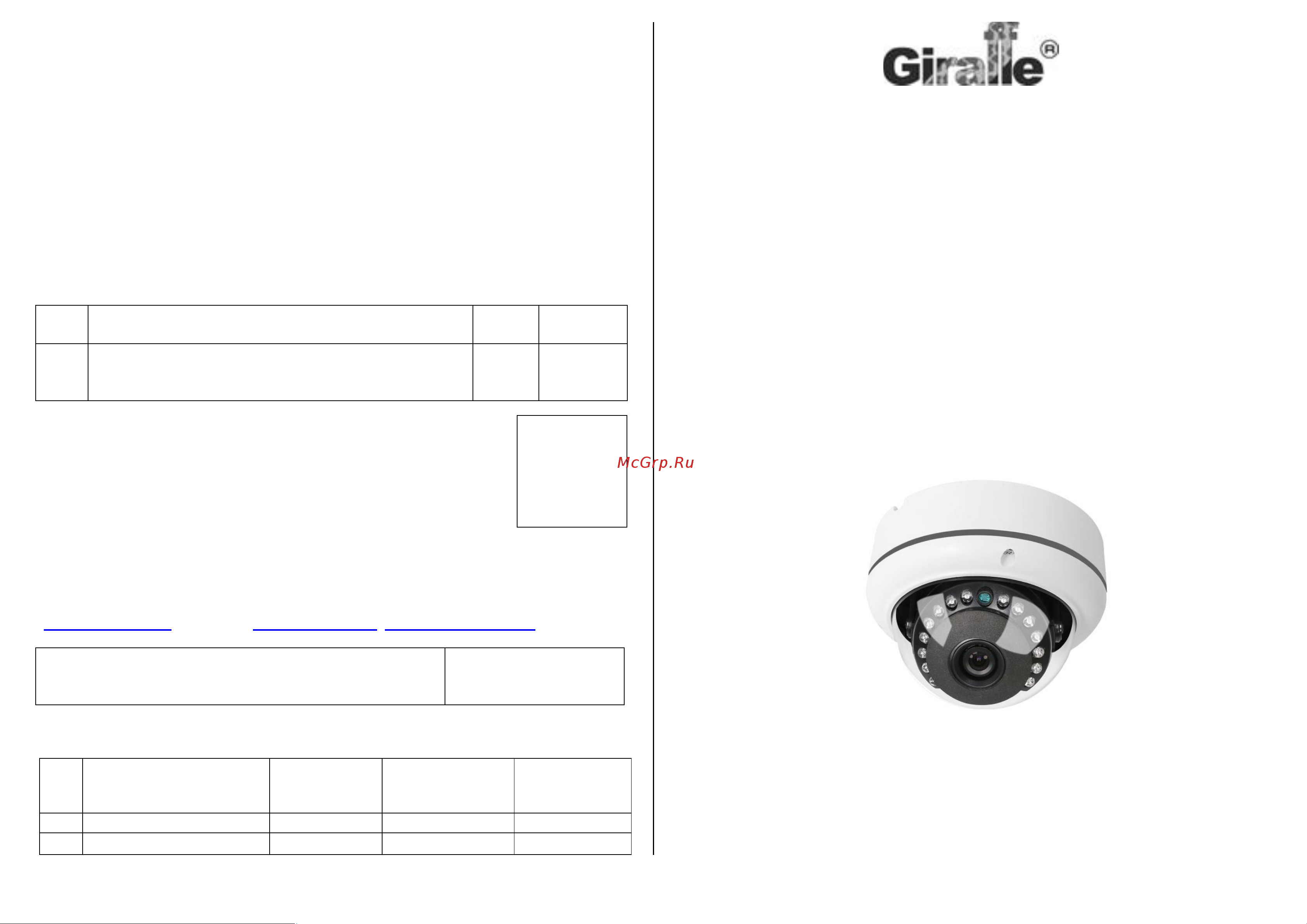 Giraffe GF-VIR4306AHDFY2.0 Паспорт онлайн