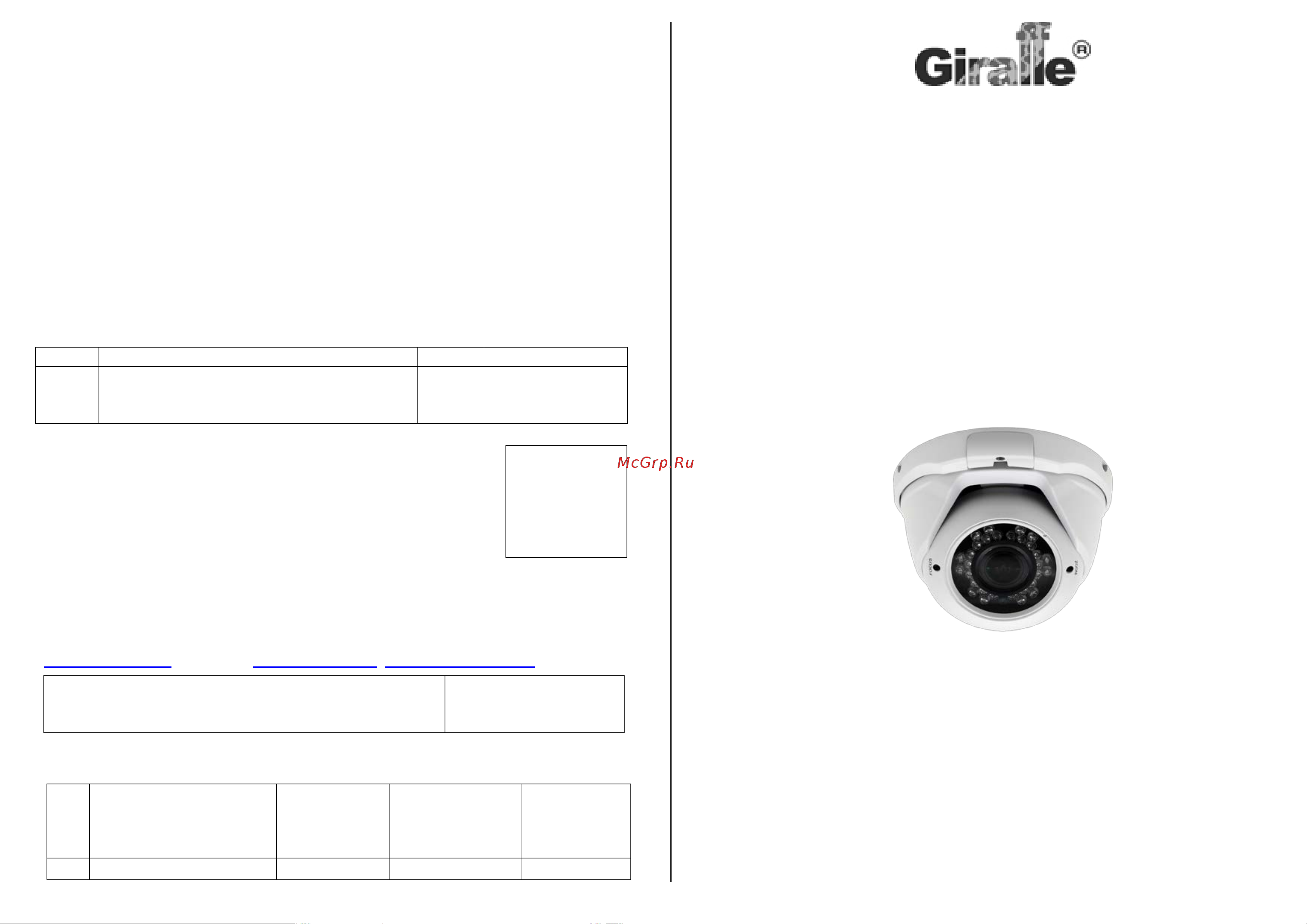 Giraffe GF-IPVIR4306MP2.0-VF V2 Паспорт онлайн