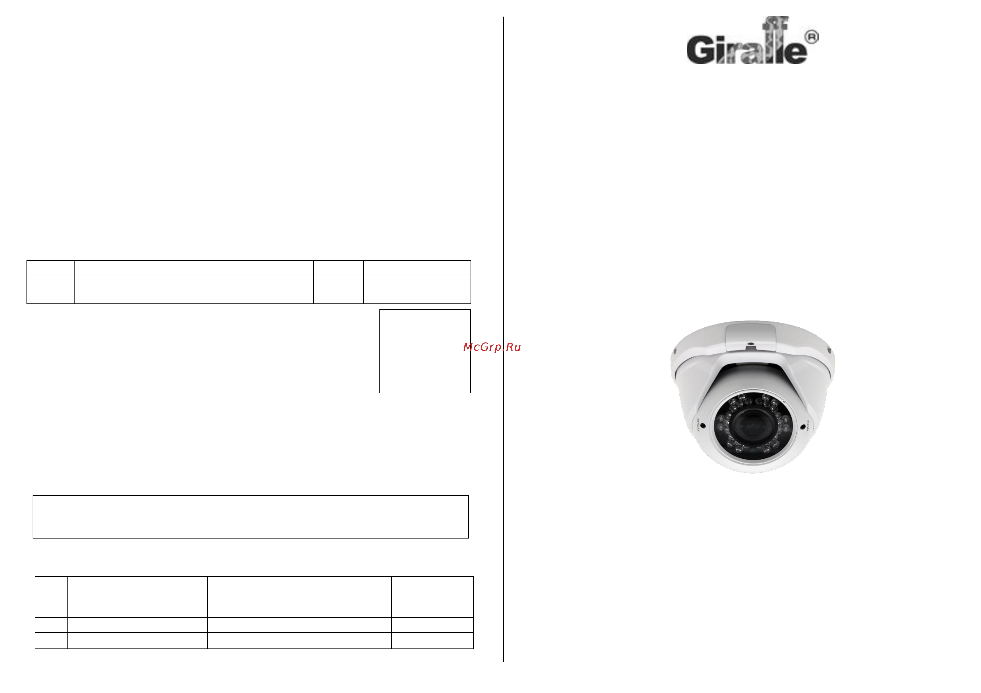 Giraffe GF-IPVIR4206MP5.0 V2 Паспорт онлайн