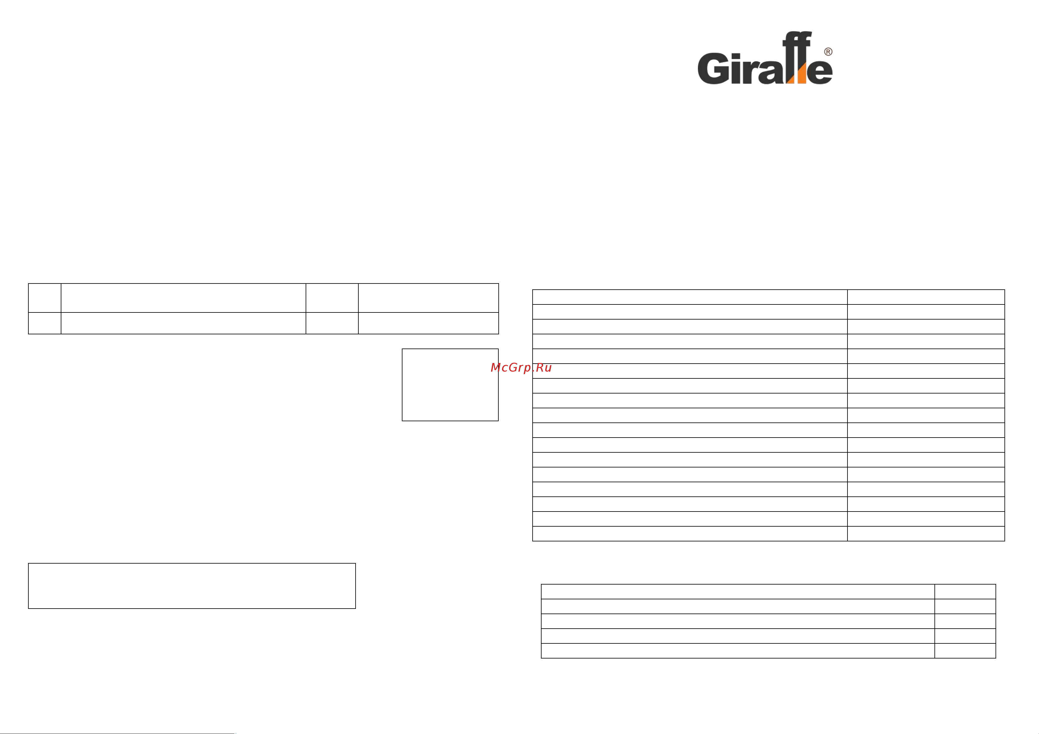 Giraffe (4:3) GF-AM080L gf0258 Паспорт онлайн