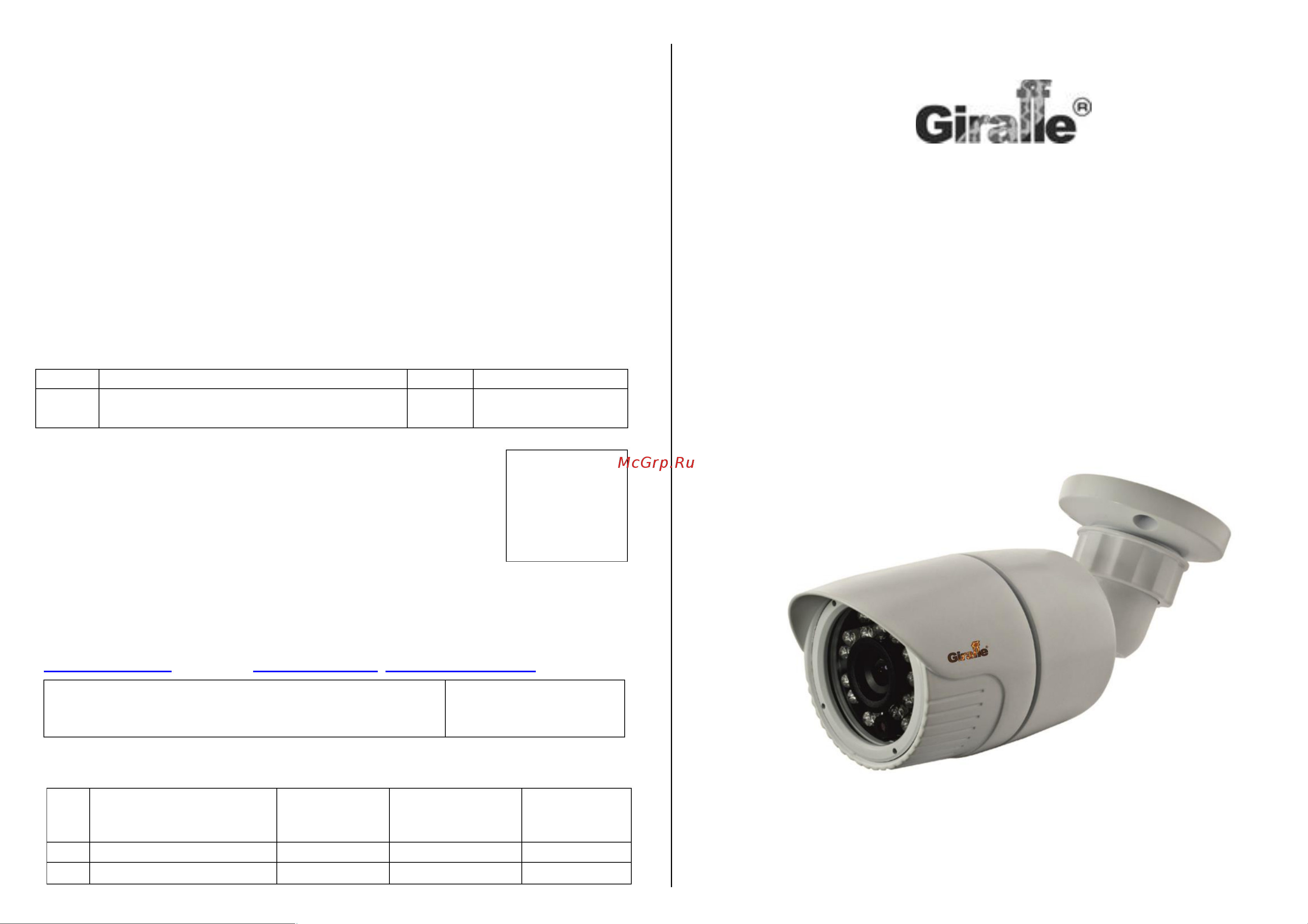 Giraffe GF-IPIR4453MP1.3 v2 Паспорт онлайн