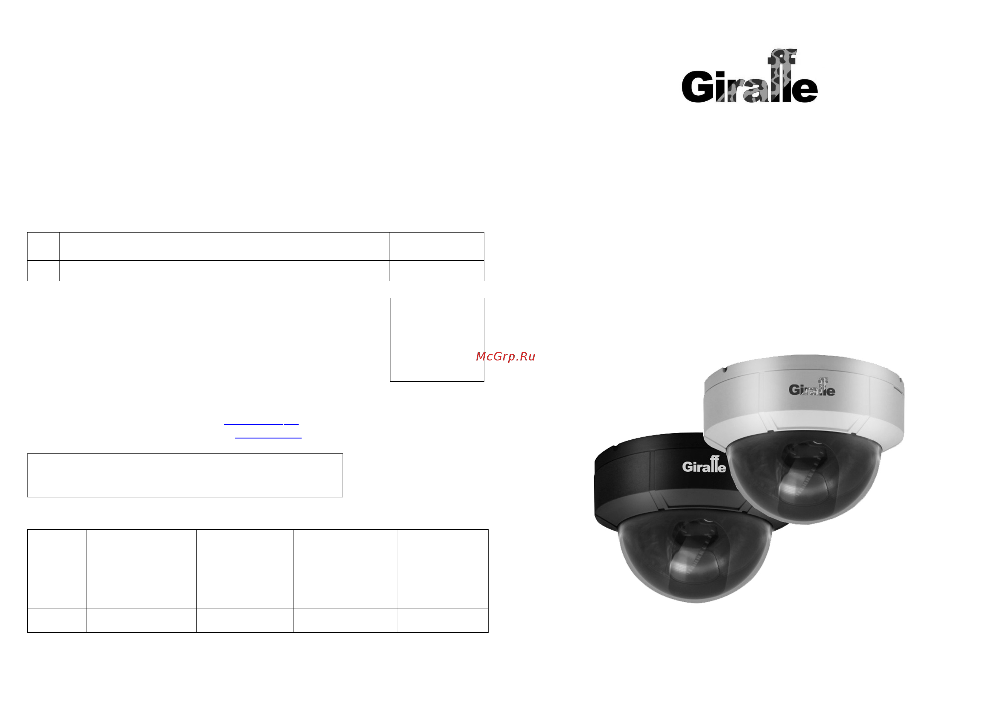Giraffe GF-D4322HDN-VF Паспорт онлайн