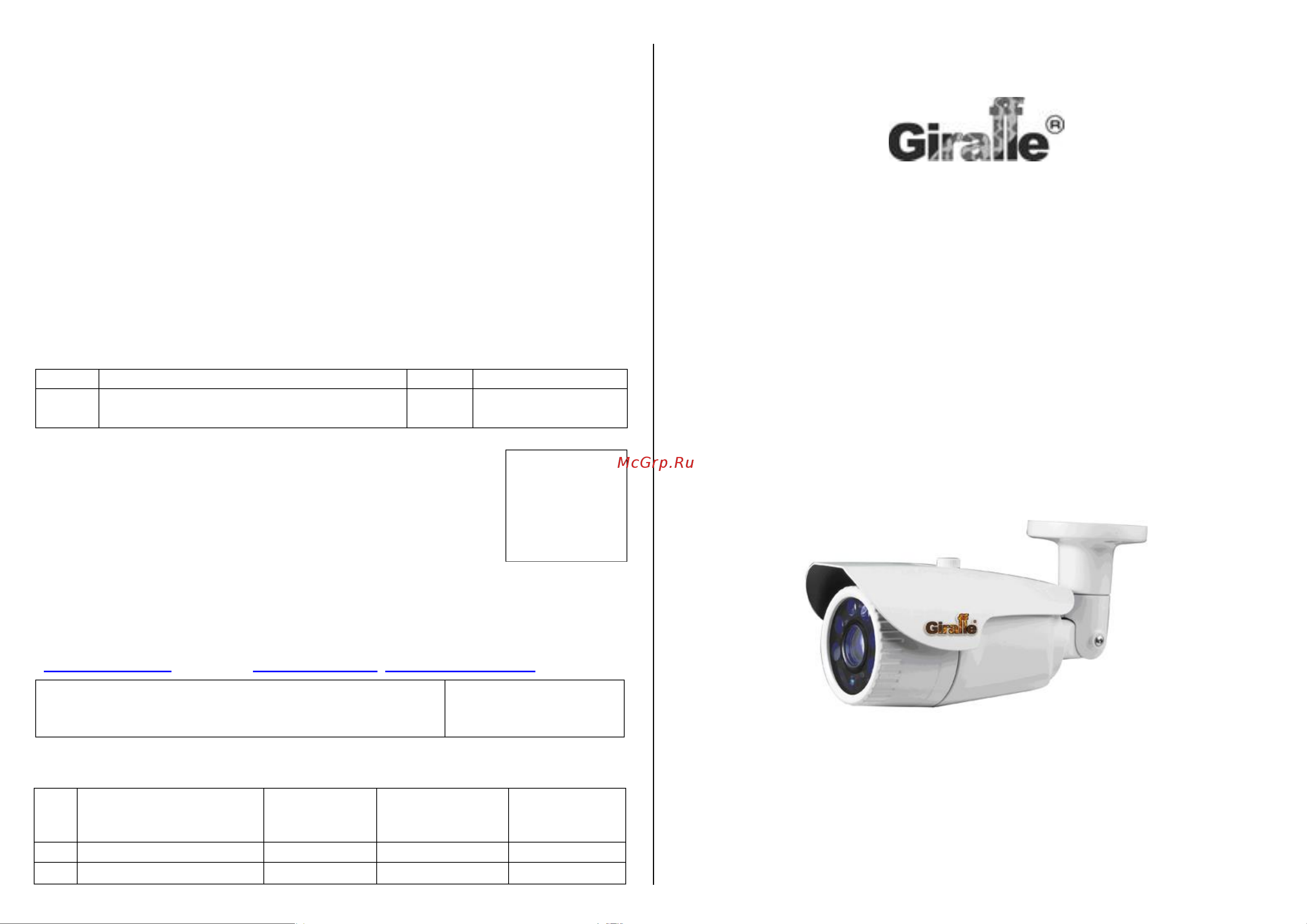 Giraffe GF-D4423AHD-VF Паспорт онлайн