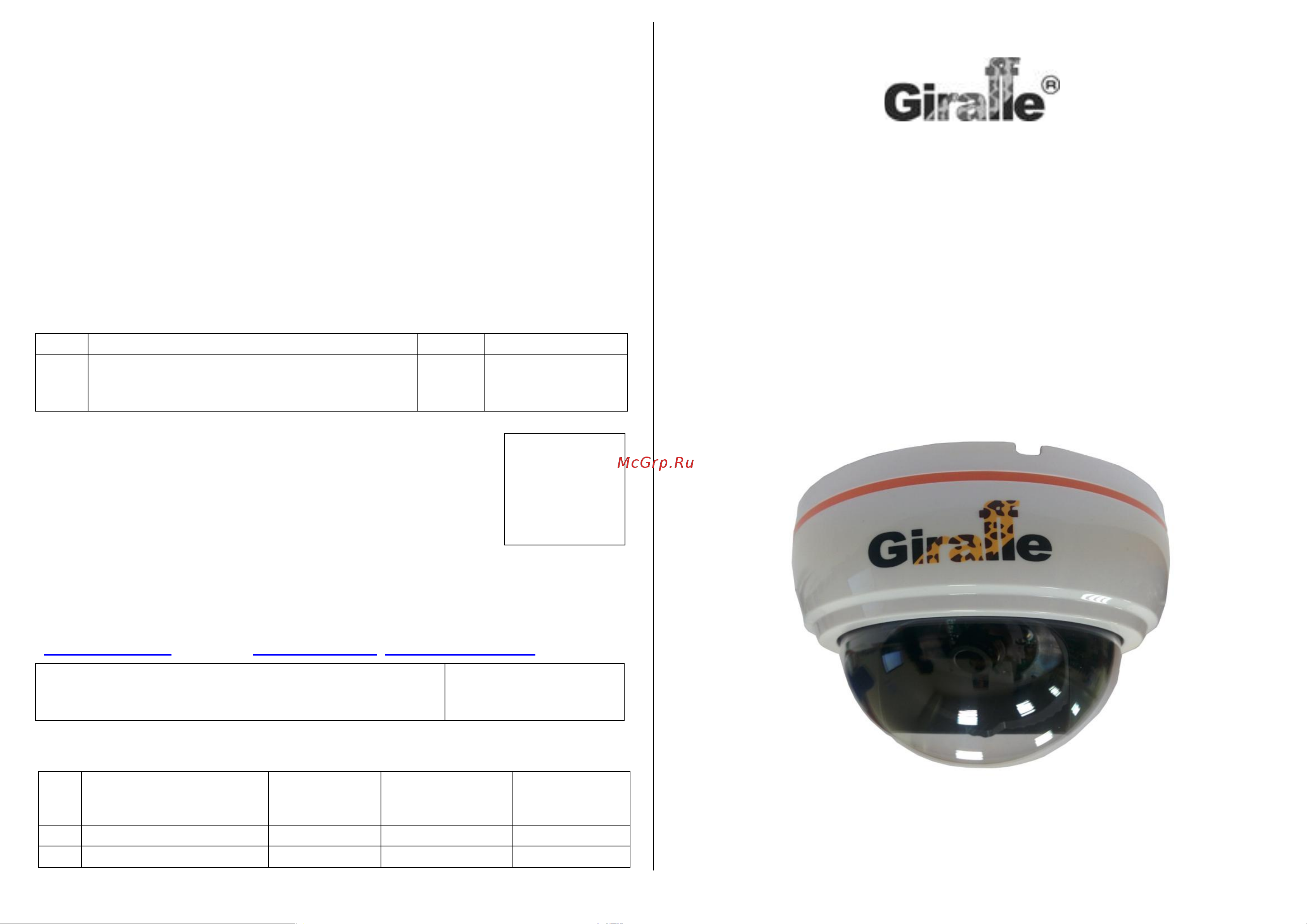 Giraffe GF-D4423AHD Паспорт онлайн