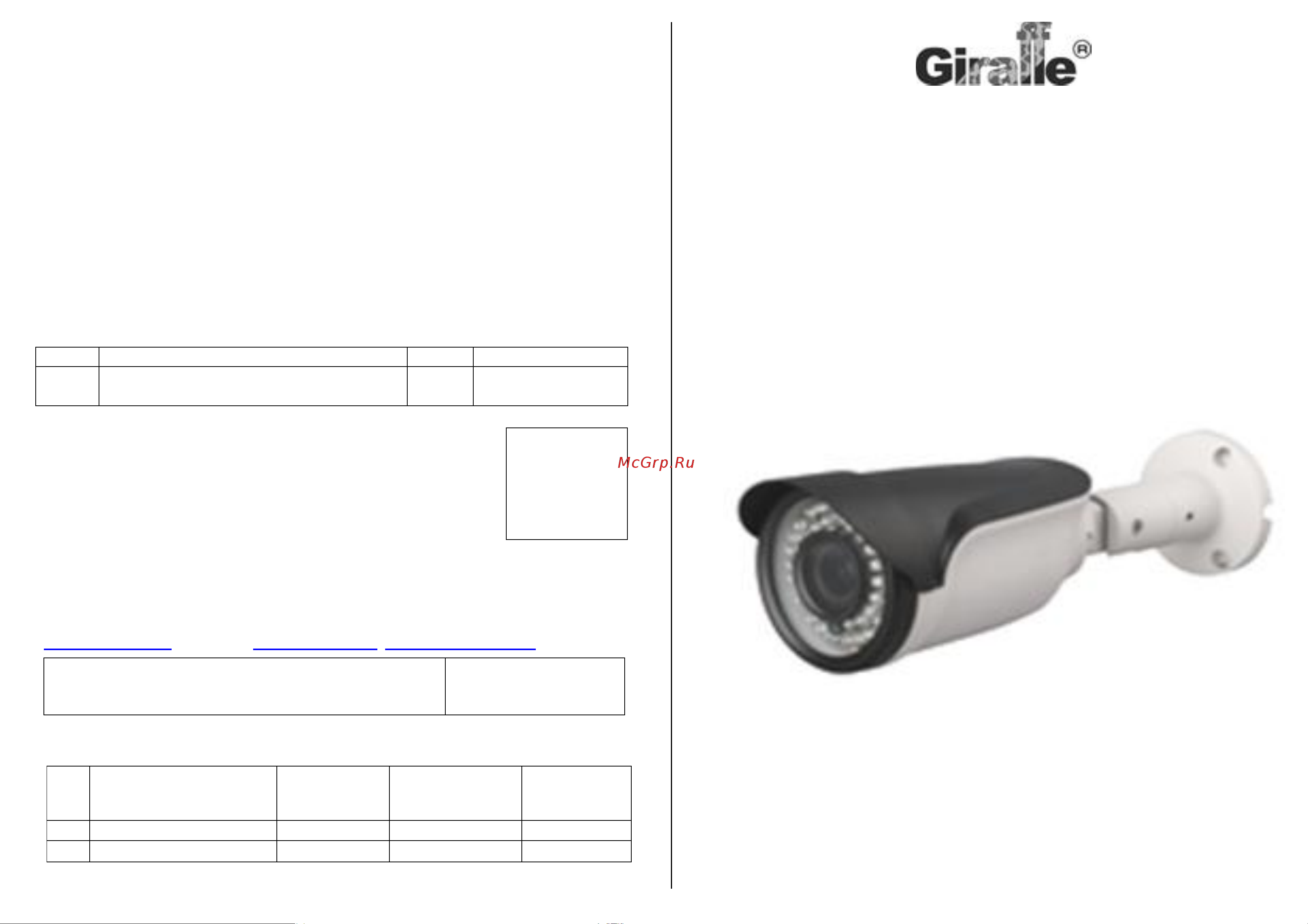 Giraffe GF-IPIR4453MP1.0-VFv2 Паспорт онлайн