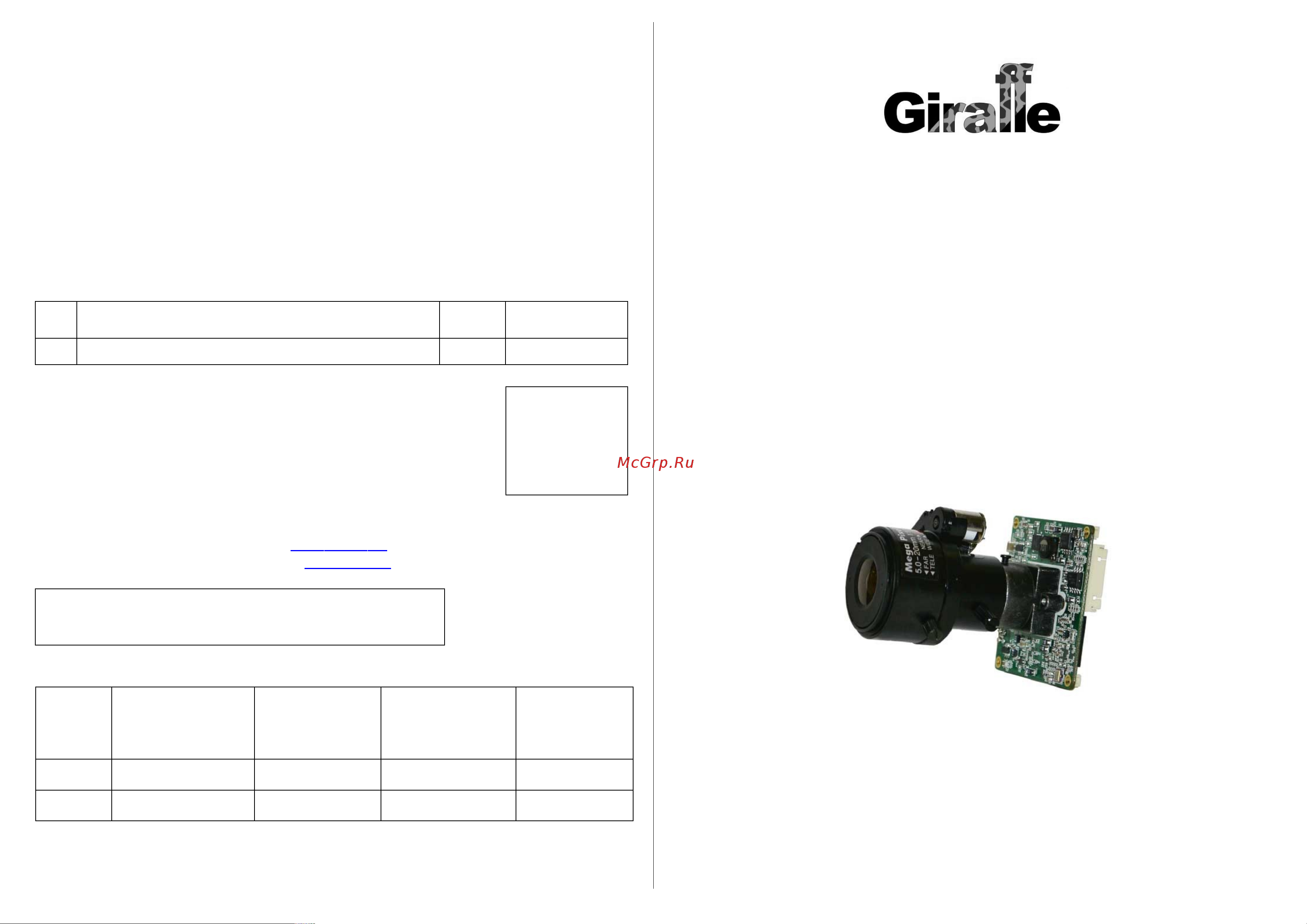 Giraffe GF-M4308HDN-VF Паспорт онлайн