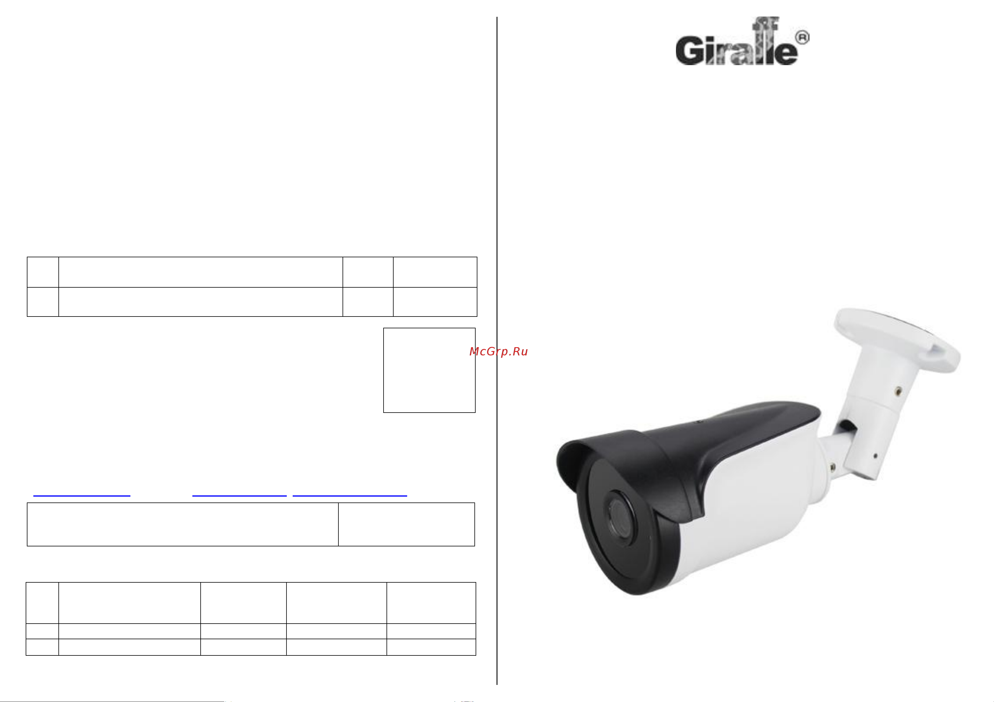 Giraffe GF-IR4353ASV2.0 V2 (2.8) Паспорт онлайн