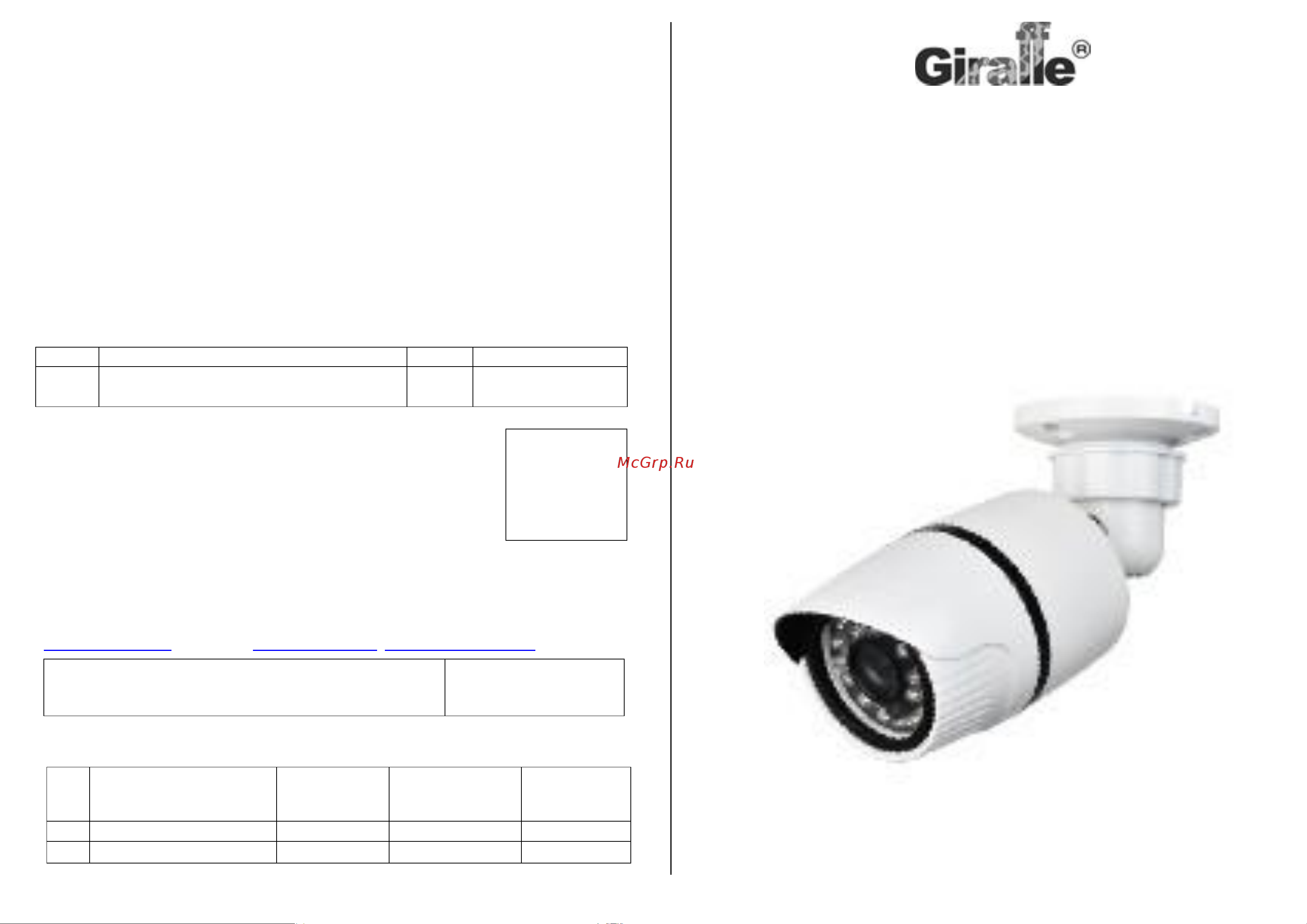 Giraffe GF-IPIR 4453MP1.0v2 Паспорт онлайн