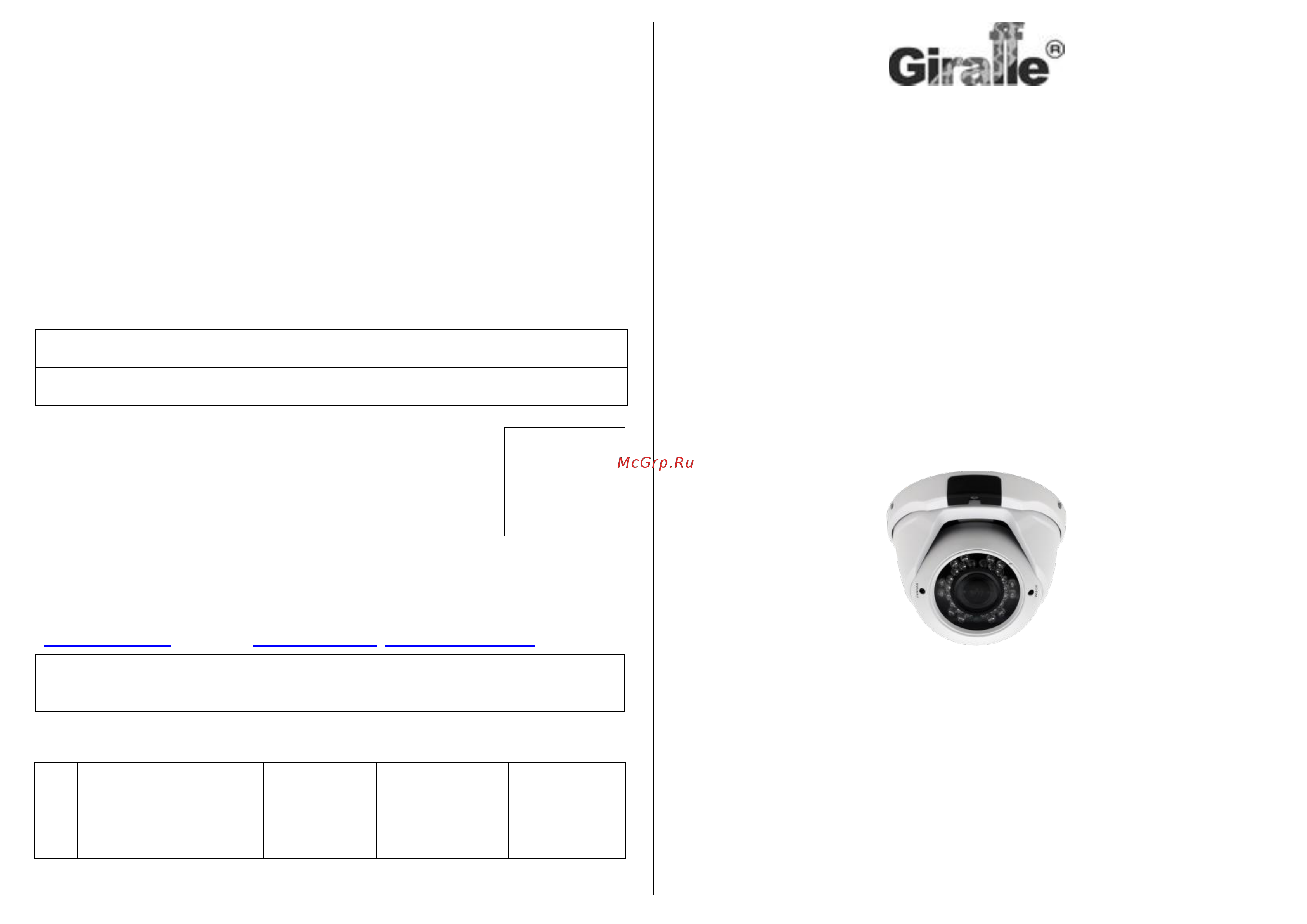 Giraffe GF-VIR4306ASV2.0 v2 Паспорт онлайн