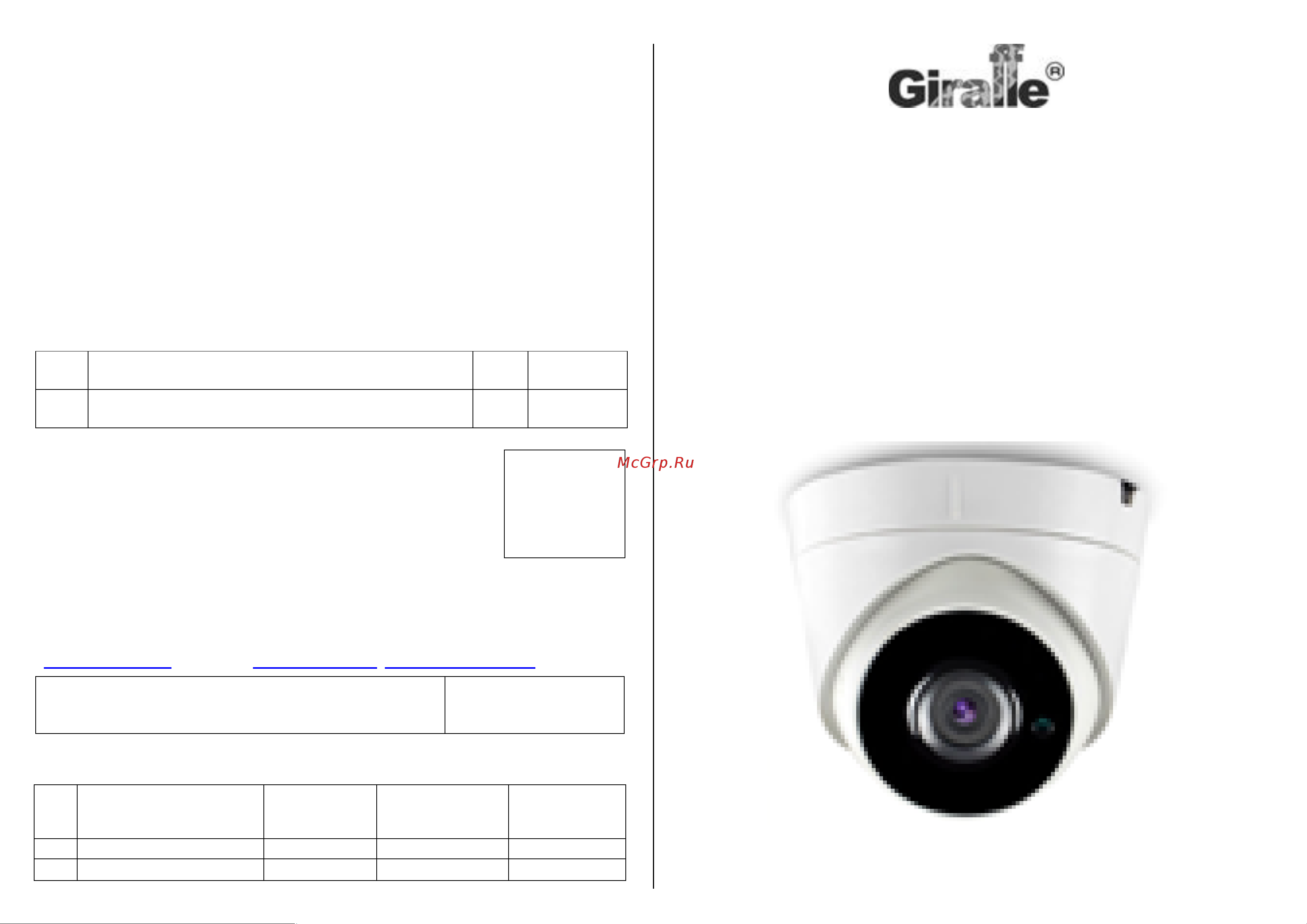Giraffe GF-DIR4322ASV2.0 Паспорт онлайн