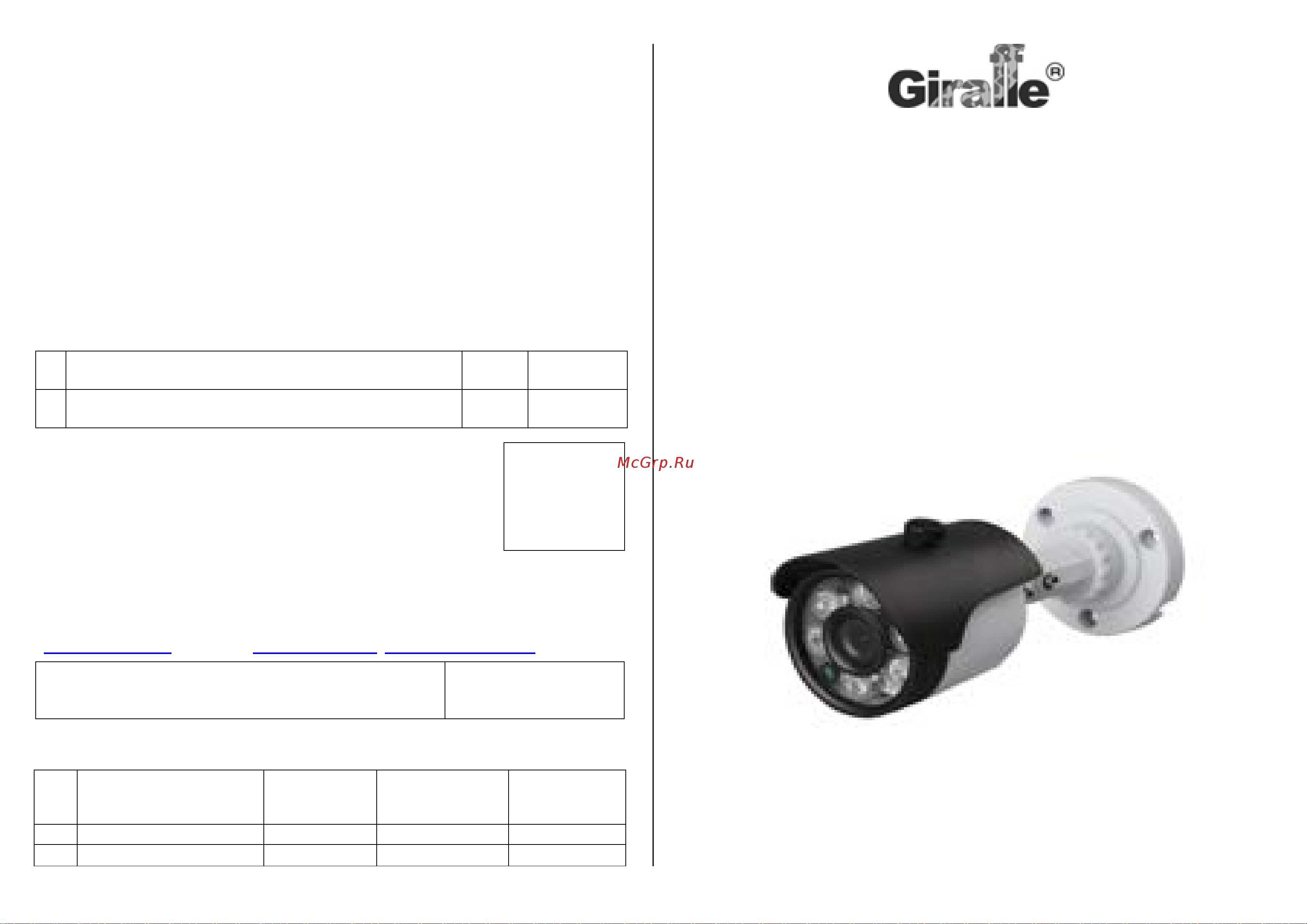 Giraffe GF-IR4451AXM Паспорт онлайн