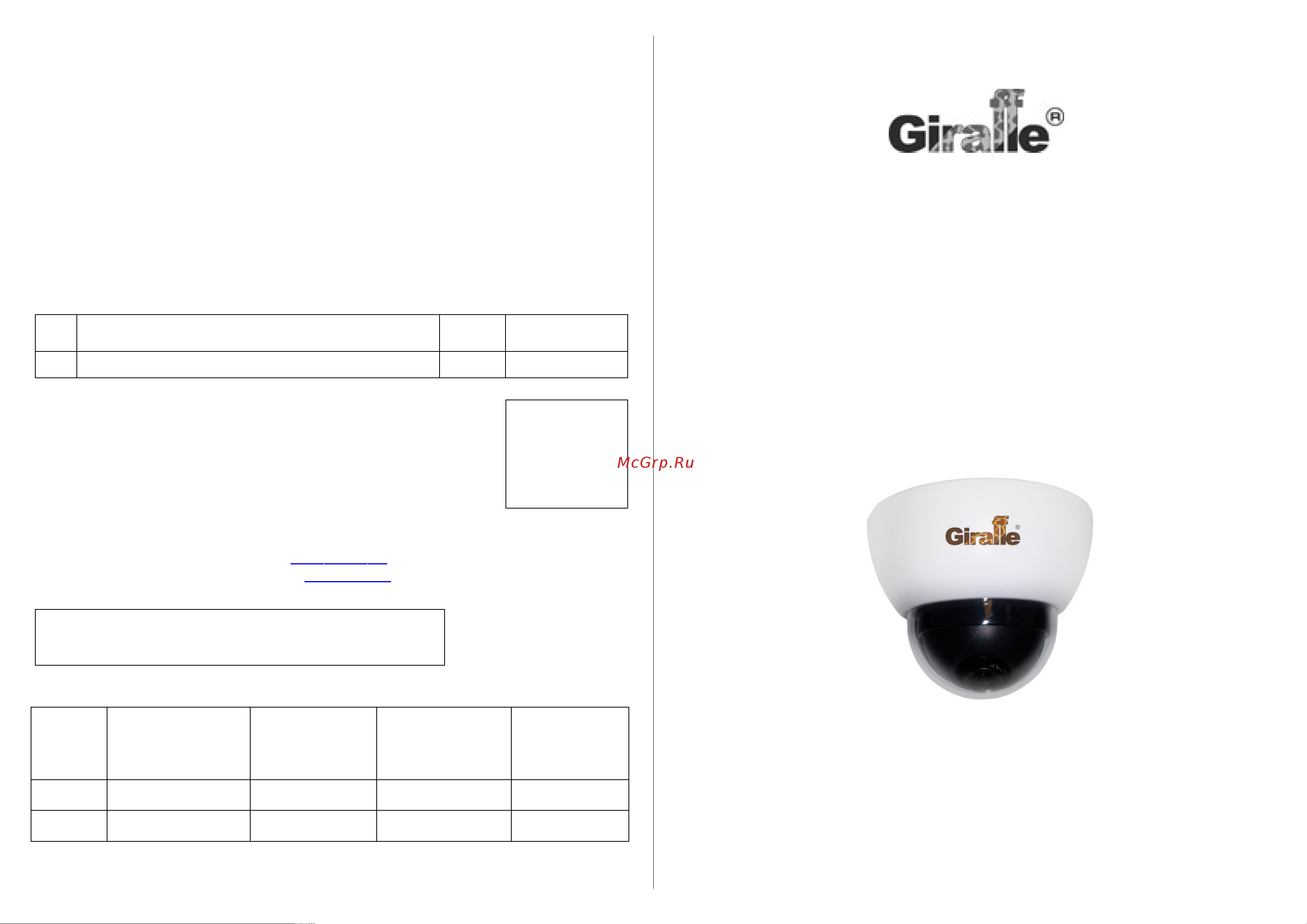 Giraffe GF-D4322HS Паспорт онлайн