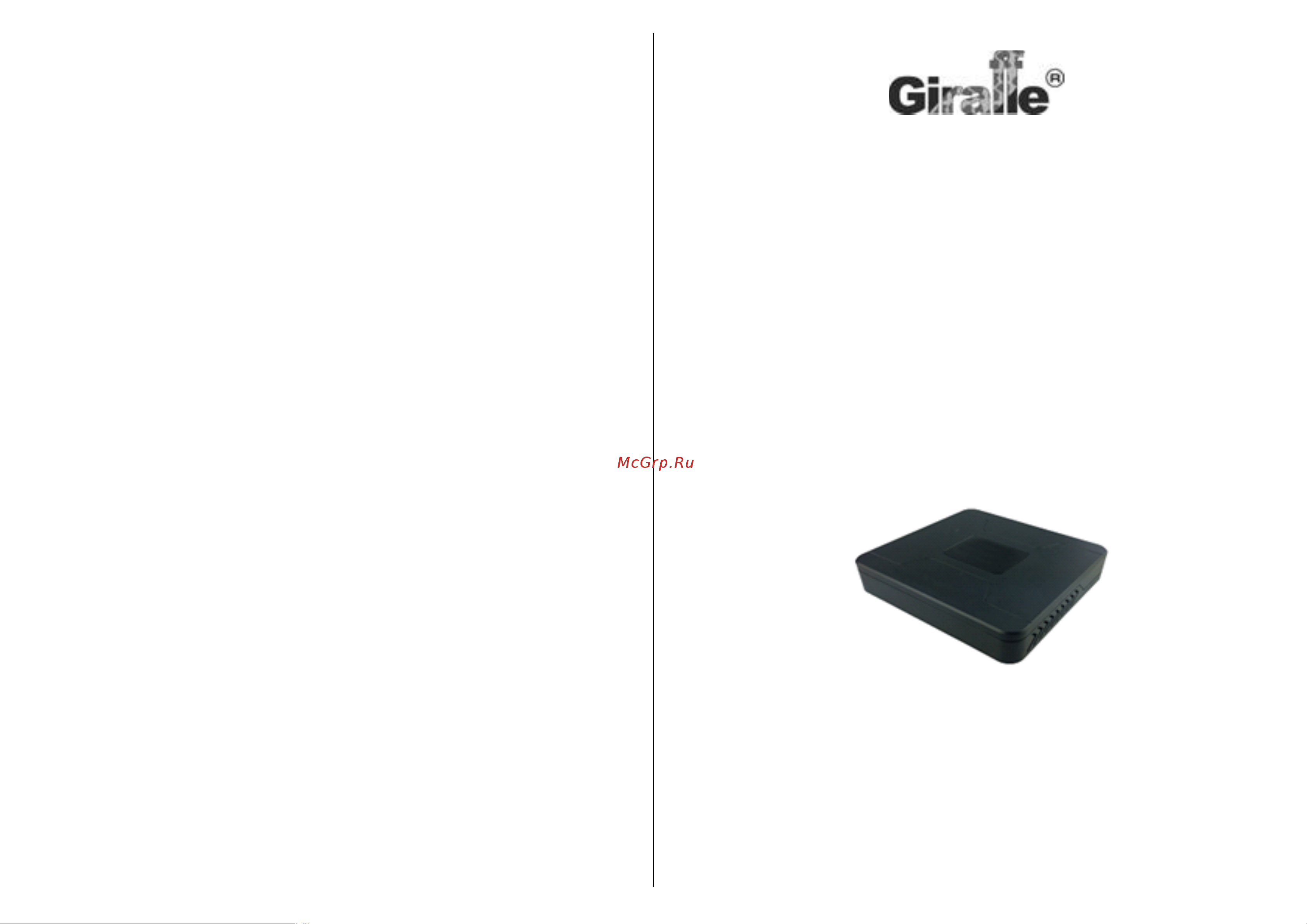 Giraffe GF-DV0404v2 Паспорт онлайн