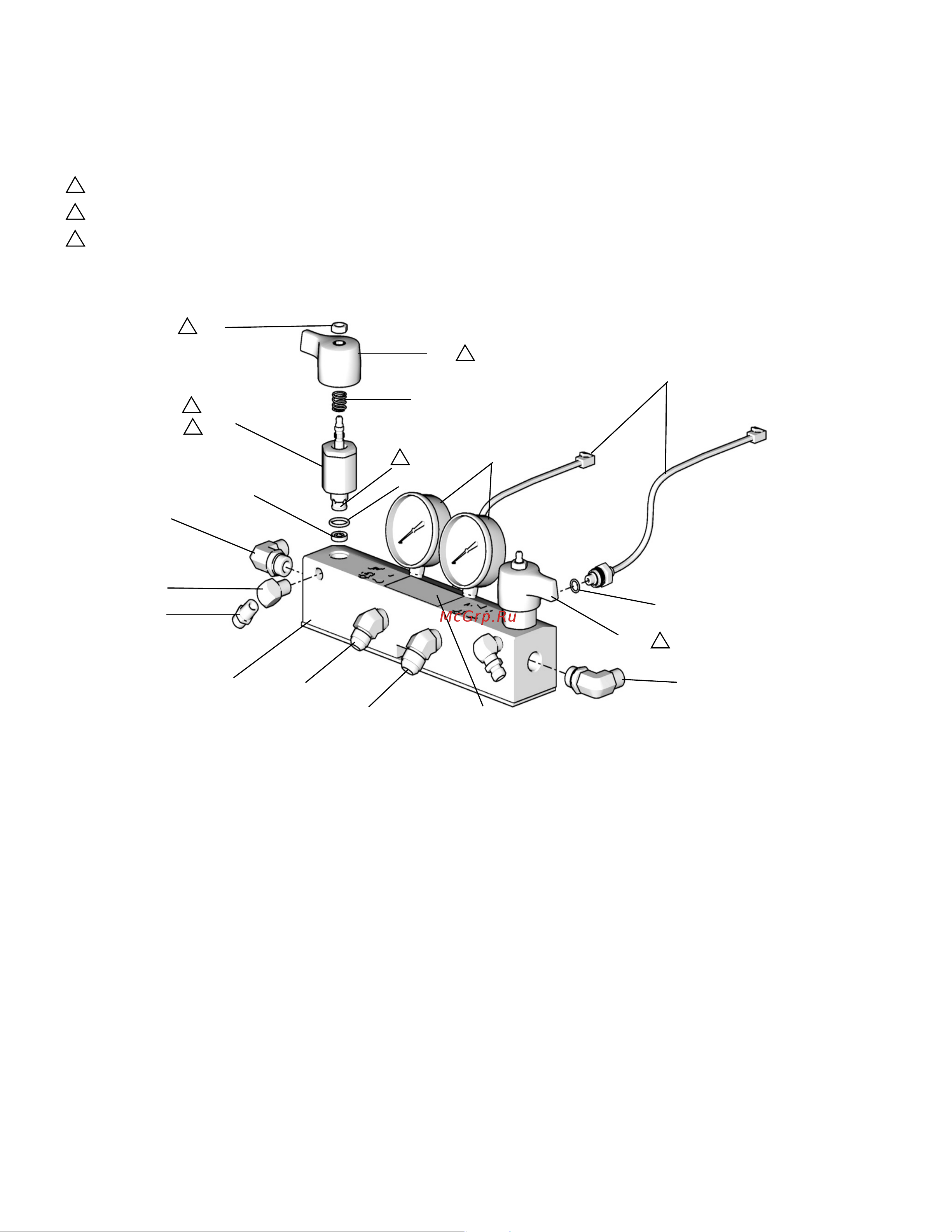 Graco Reactor E-20 PH9034 [68/76] Fluid manifold
