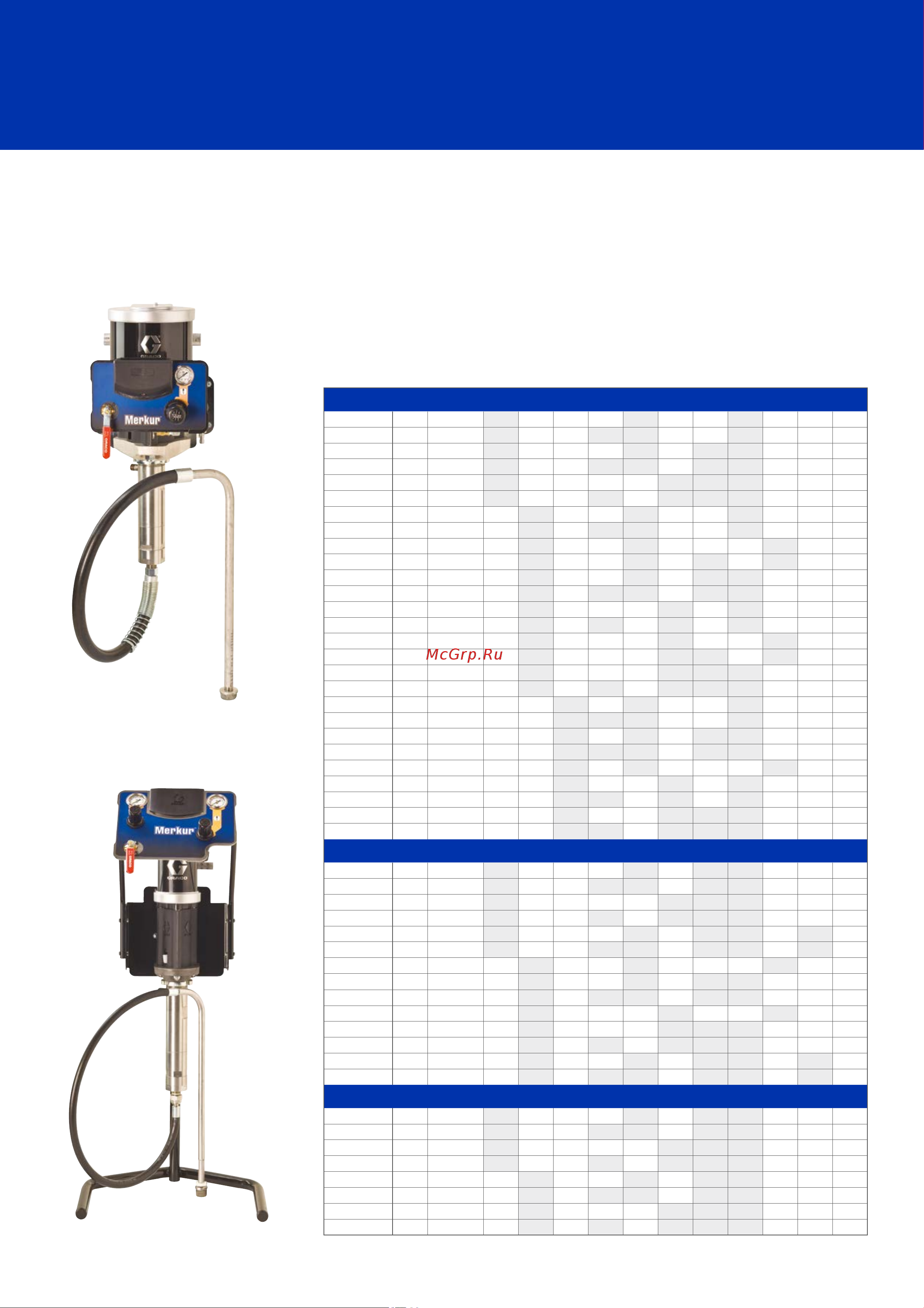 Graco Merkur 10:1 G10W03 [8/12] Информация для заказа