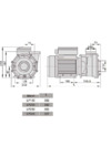 Aquaviva LX LP250T Габаритный чертеж