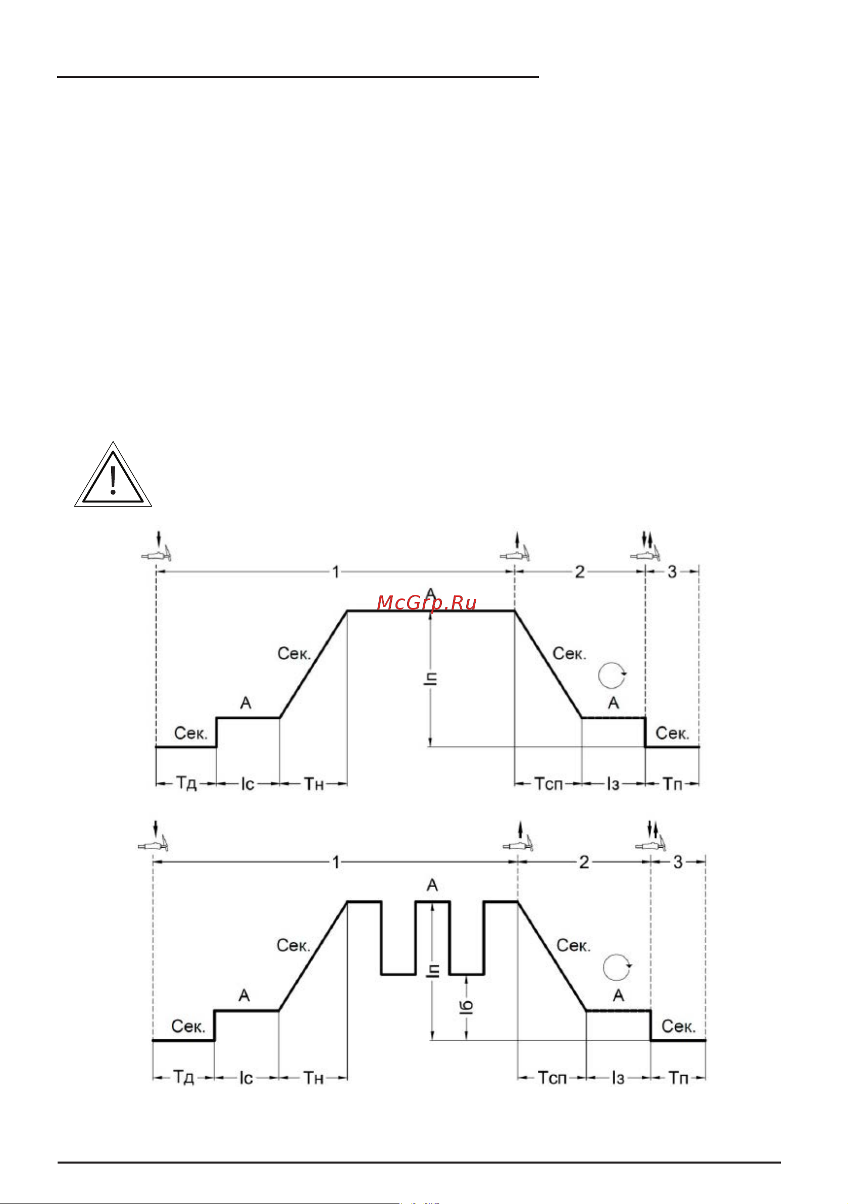 Сварог REAL TIG 315 P AC/DC MULTIWAVE (E30301) Инструкция по эксплуатации онлайн [25/96] 687519