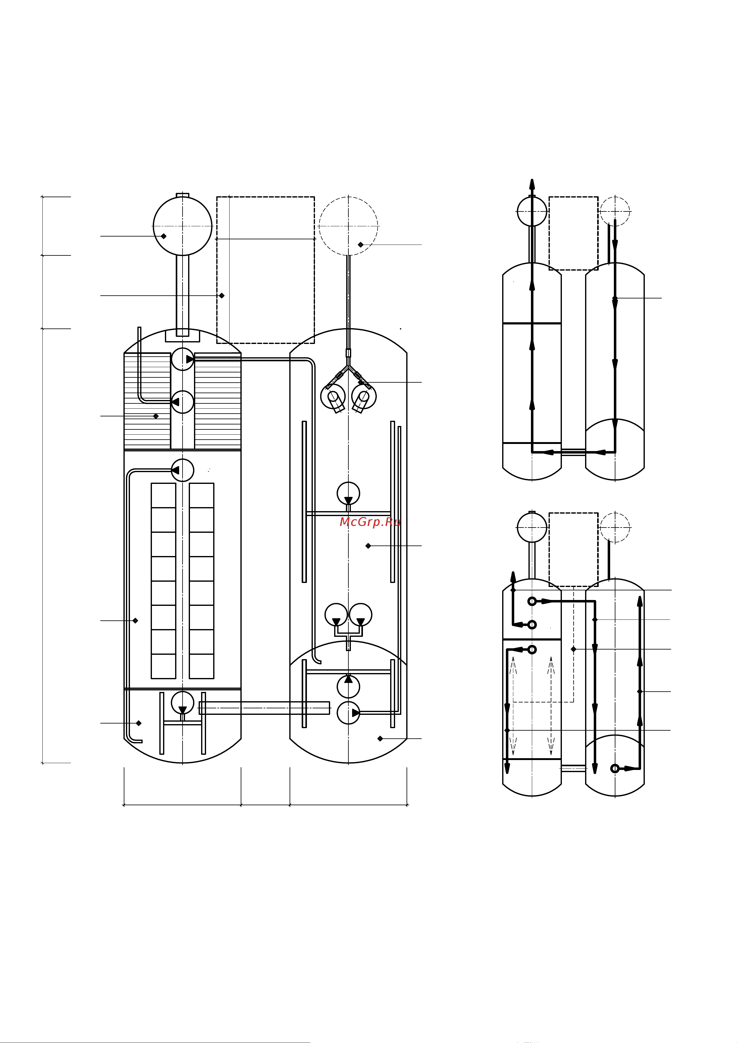 Viteco Argel BIO-50 Принципиальная схема онлайн